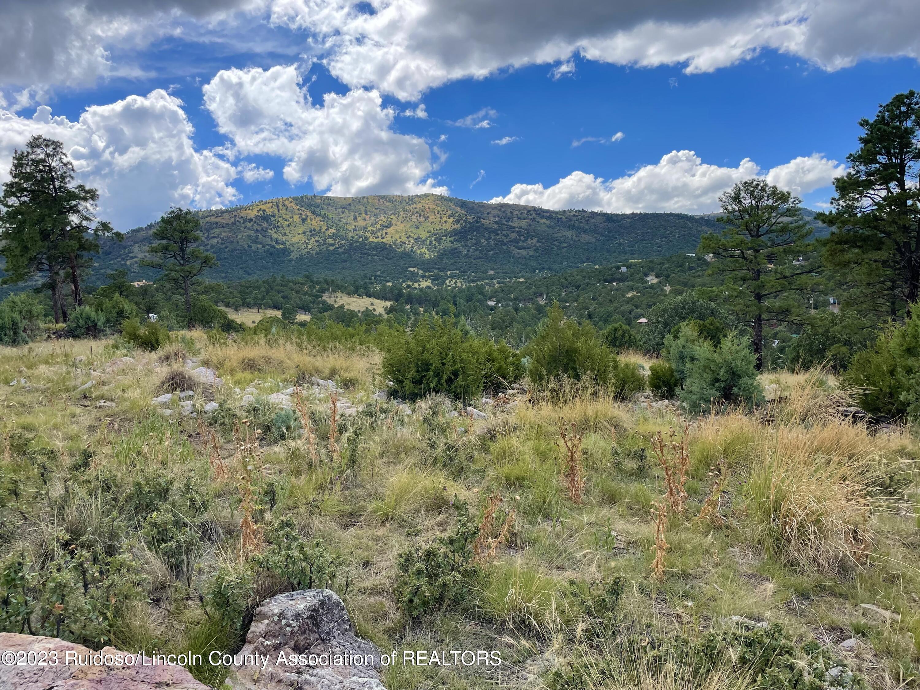 L16 Buggy Lane, Nogal, New Mexico image 4