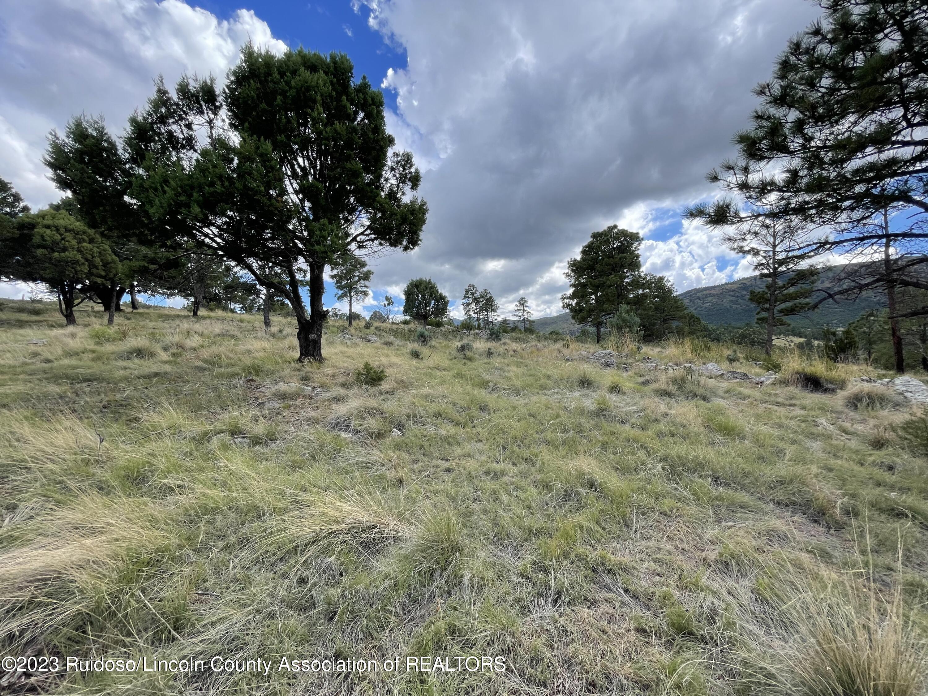 L16 Buggy Lane, Nogal, New Mexico image 15