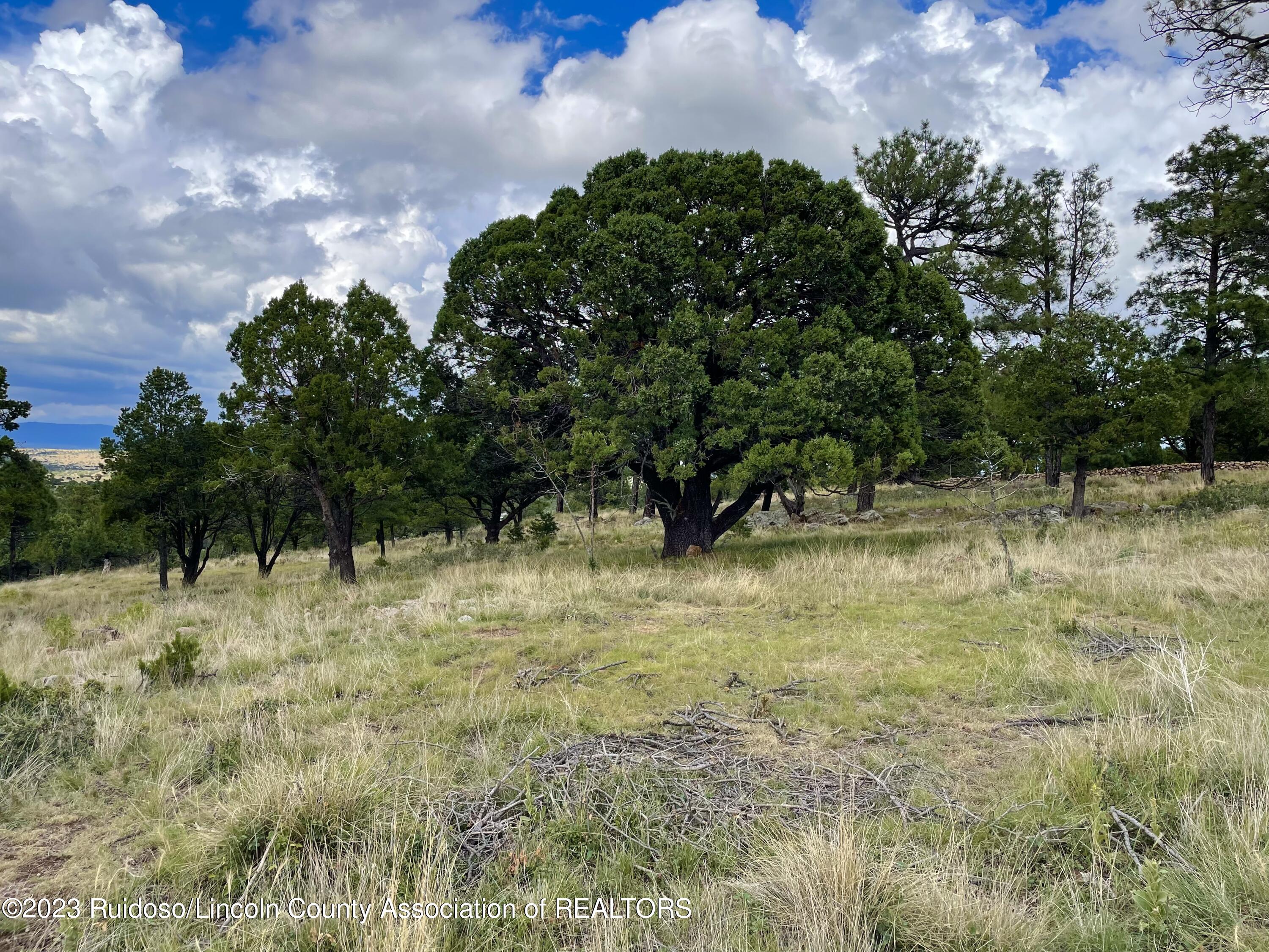 L16 Buggy Lane, Nogal, New Mexico image 18