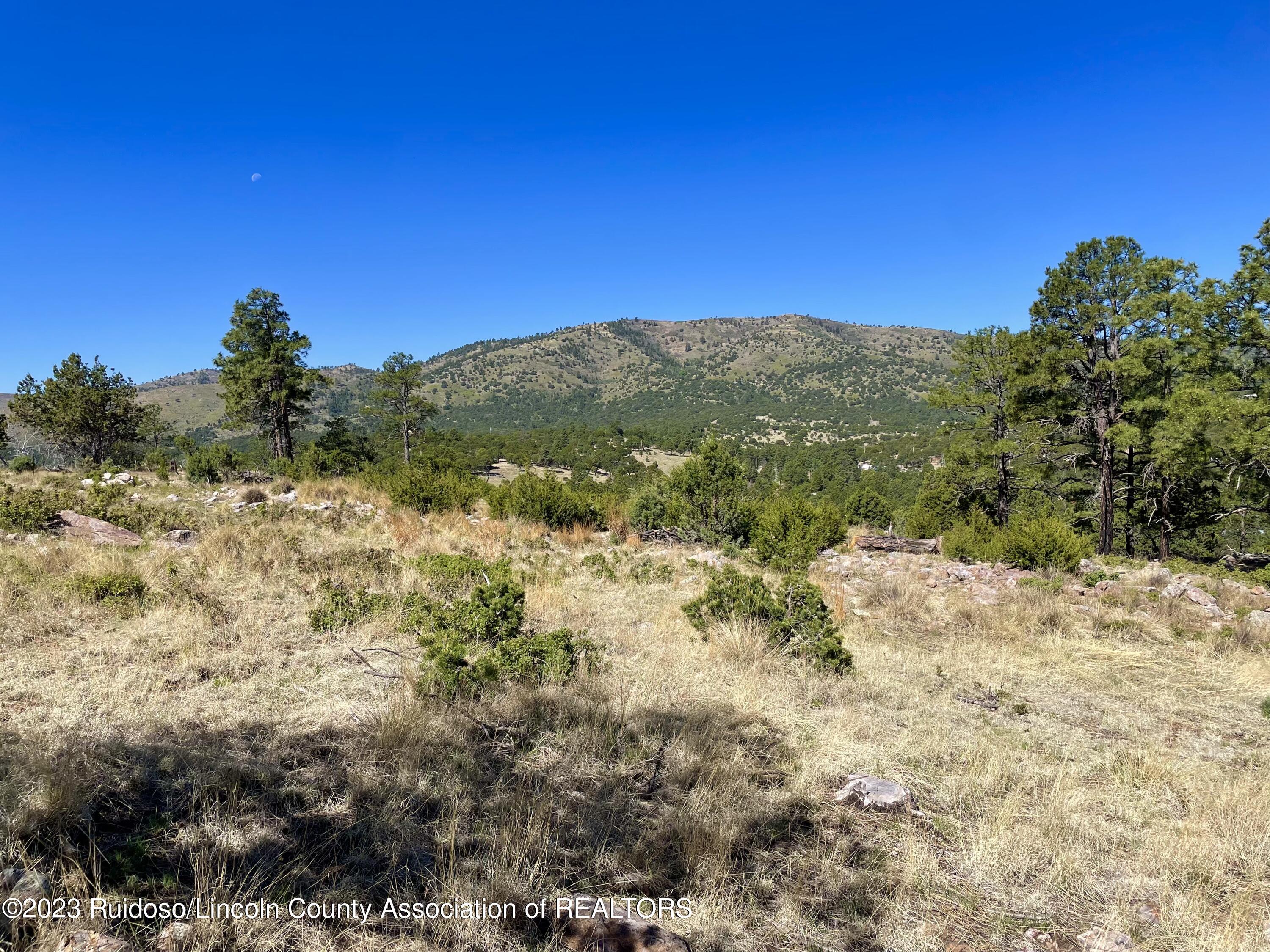 L16 Buggy Lane, Nogal, New Mexico image 8