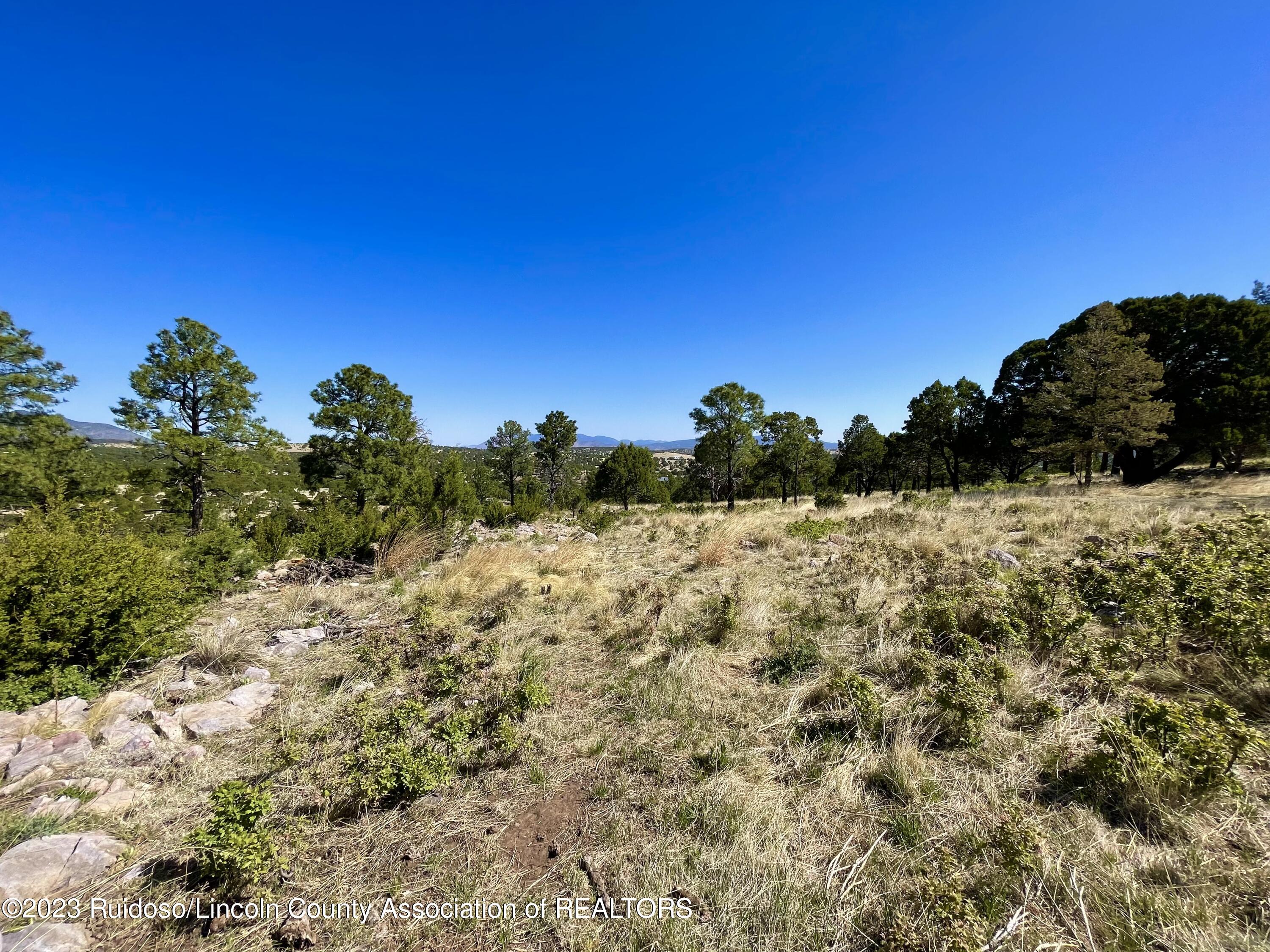 L16 Buggy Lane, Nogal, New Mexico image 2