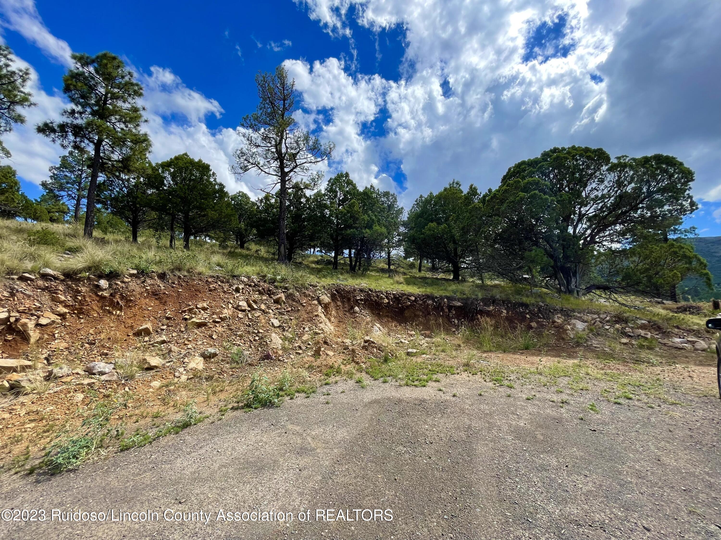 L16 Buggy Lane, Nogal, New Mexico image 14