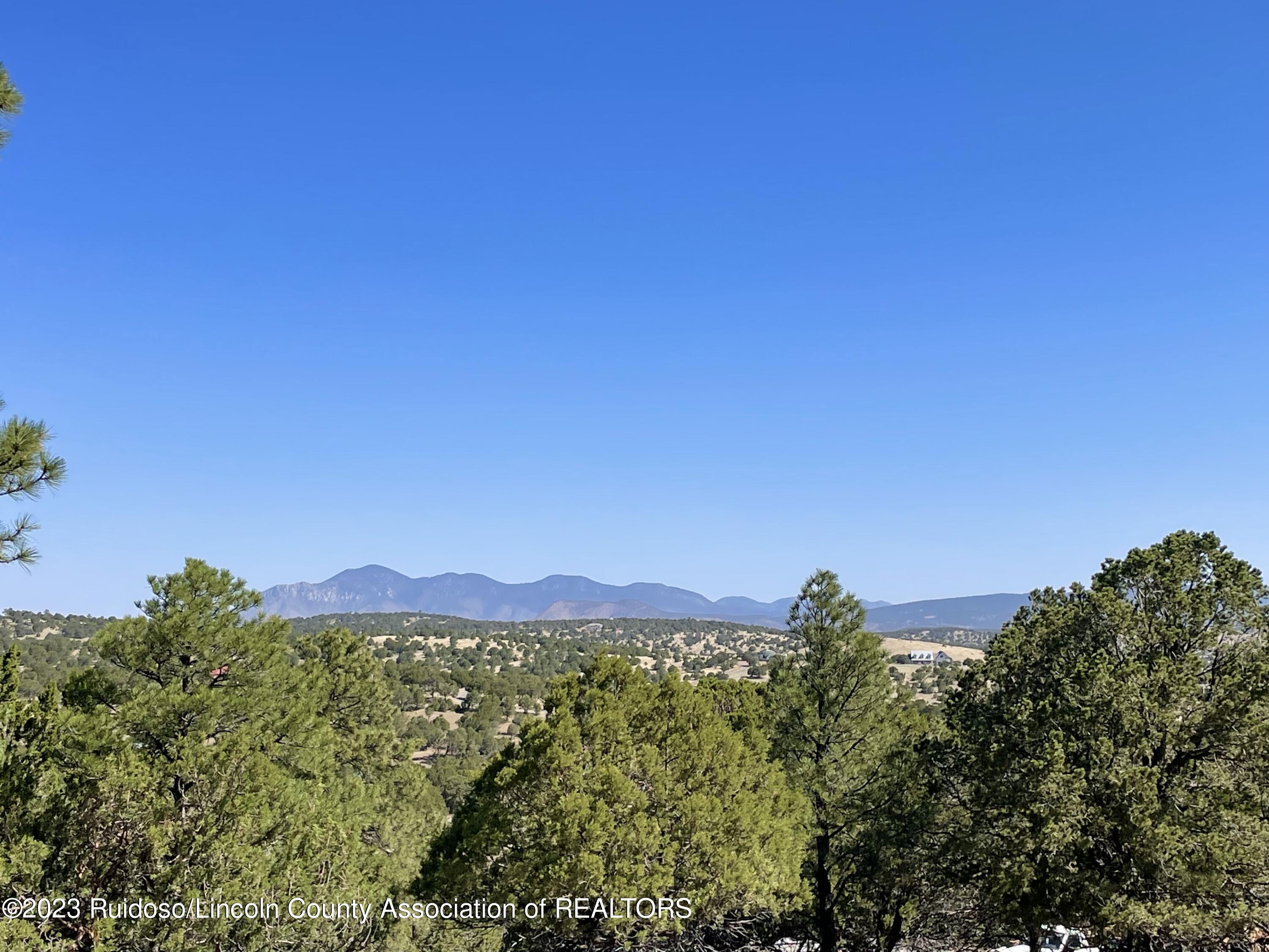 L16 Buggy Lane, Nogal, New Mexico image 13