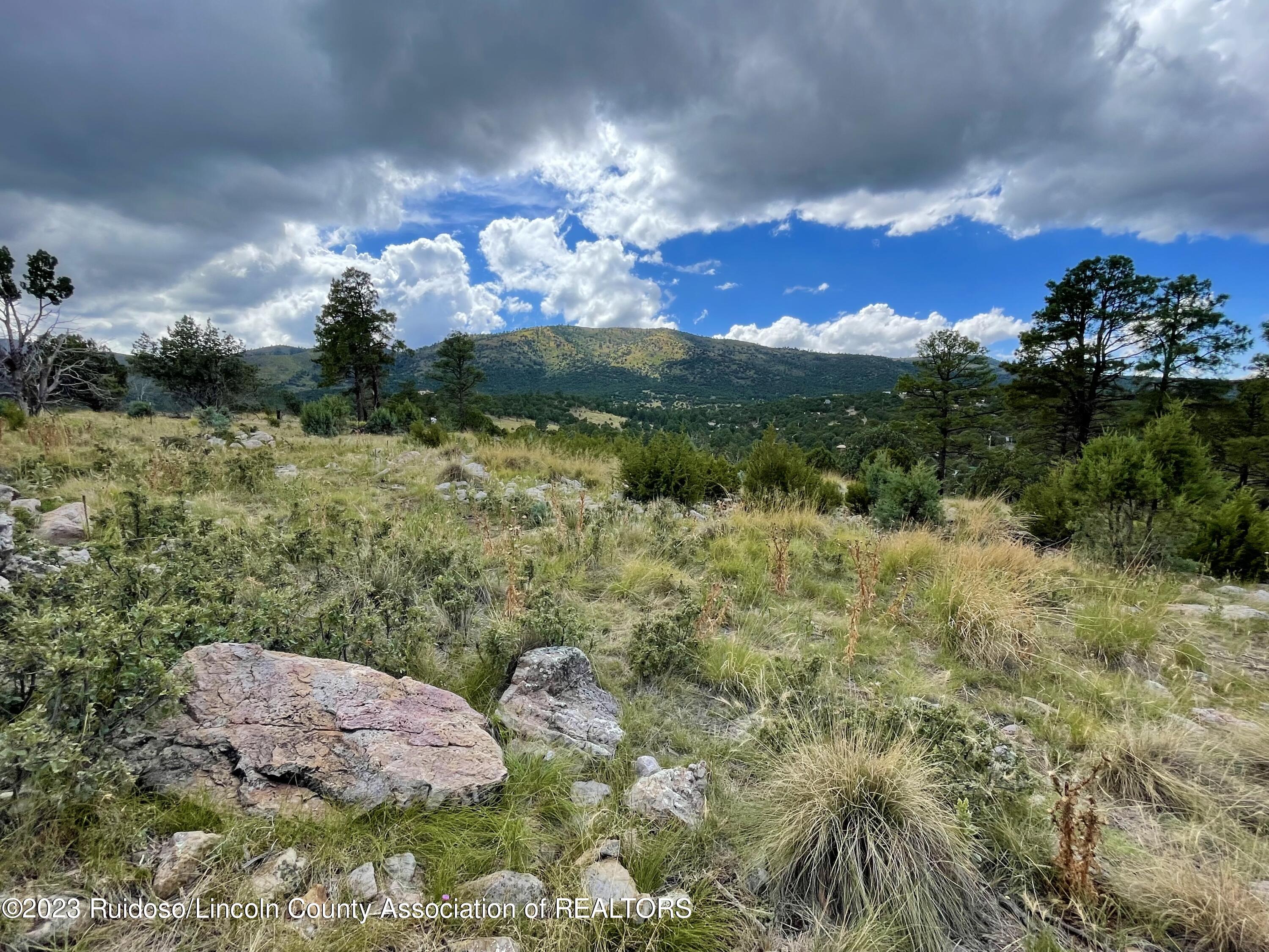 L16 Buggy Lane, Nogal, New Mexico image 17