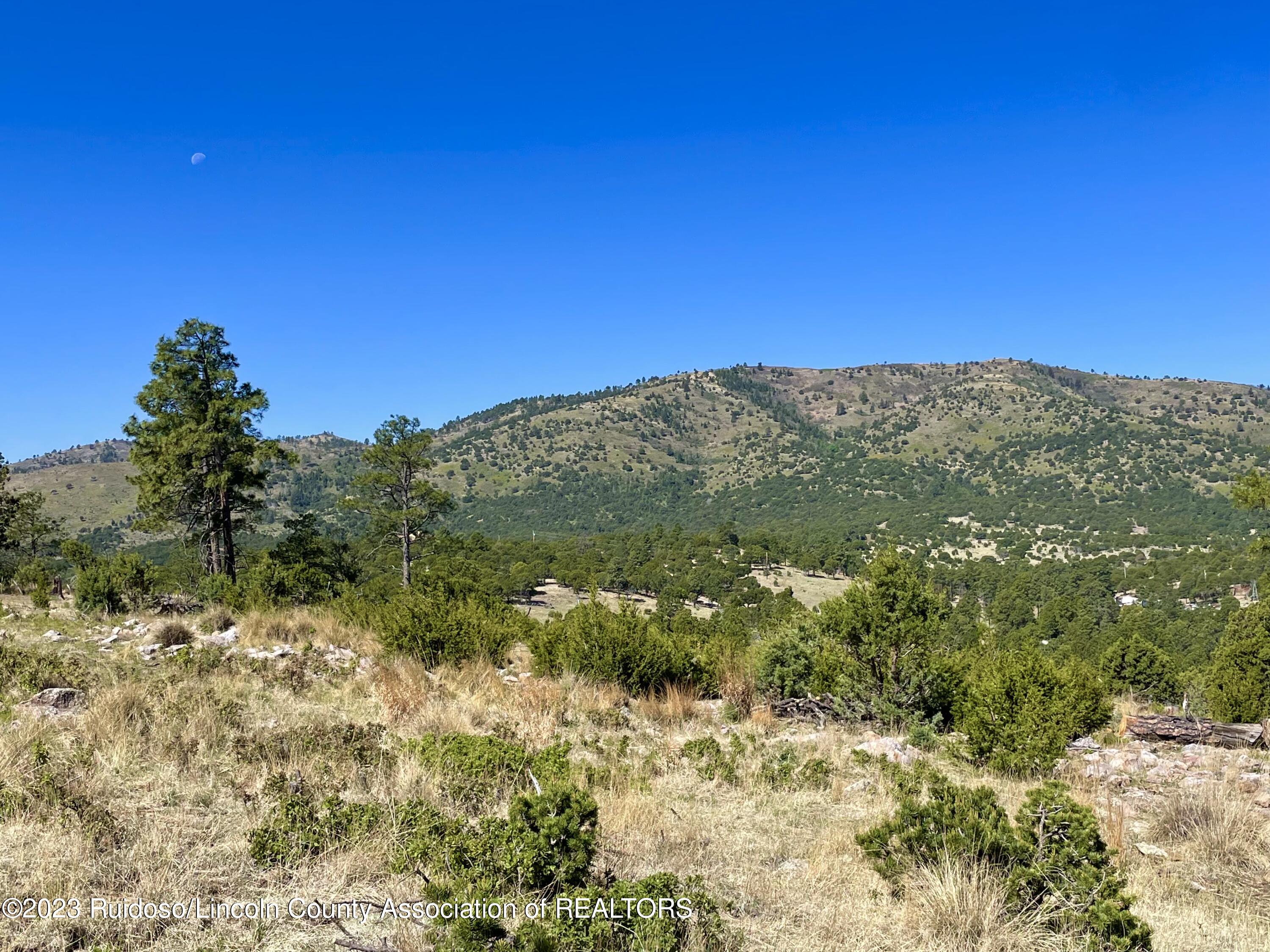 L16 Buggy Lane, Nogal, New Mexico image 5