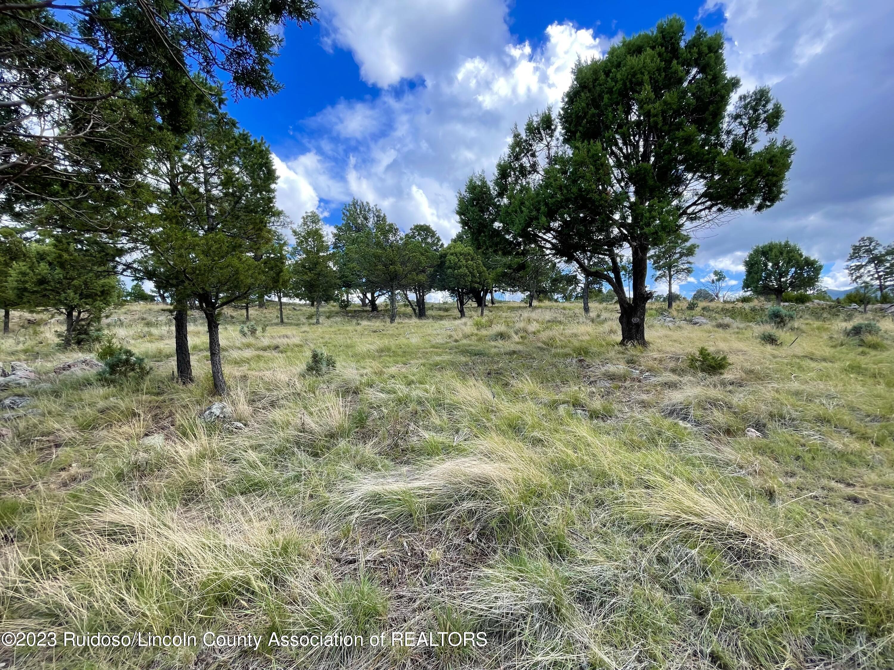 L16 Buggy Lane, Nogal, New Mexico image 16