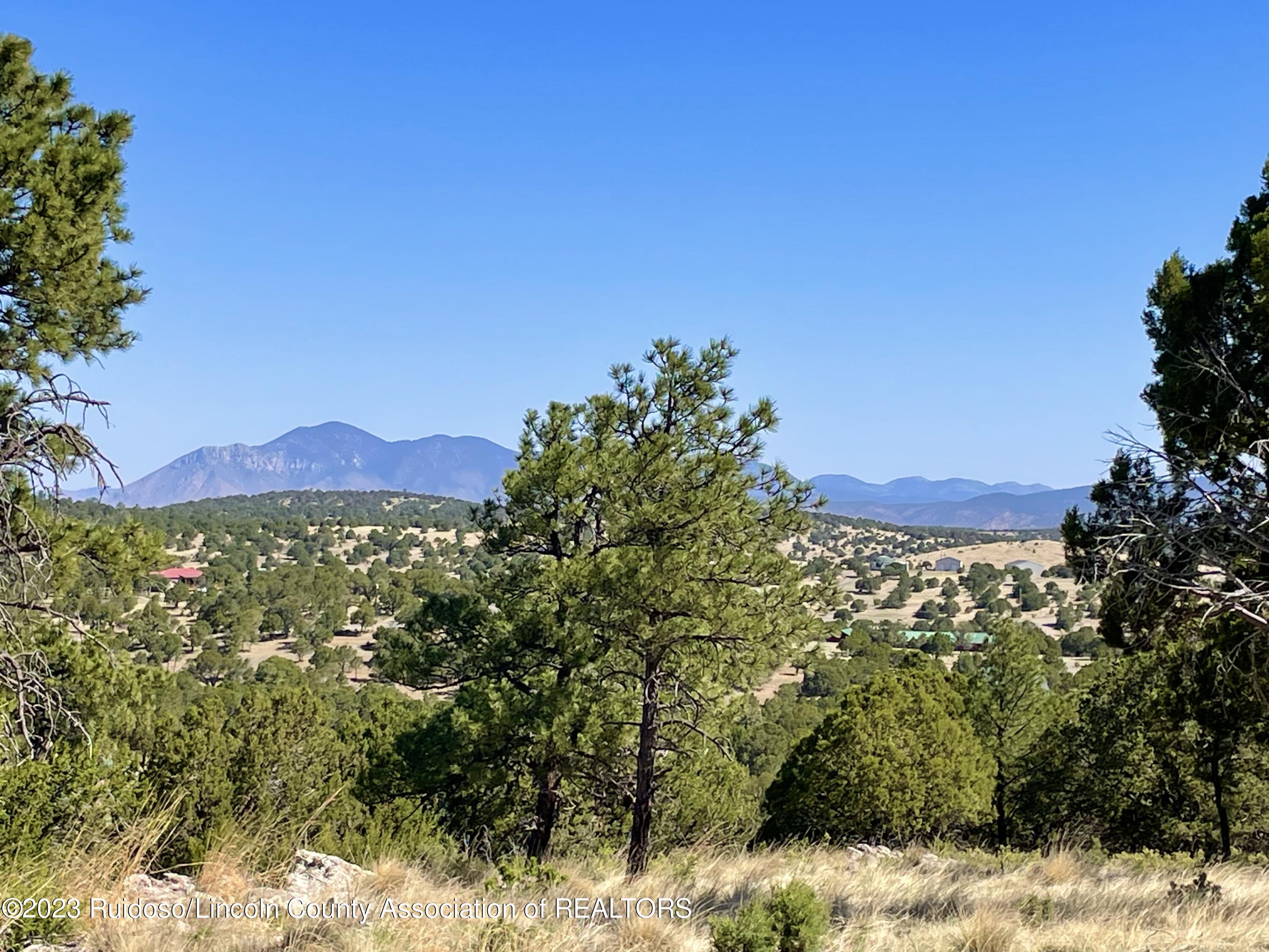 L16 Buggy Lane, Nogal, New Mexico image 6