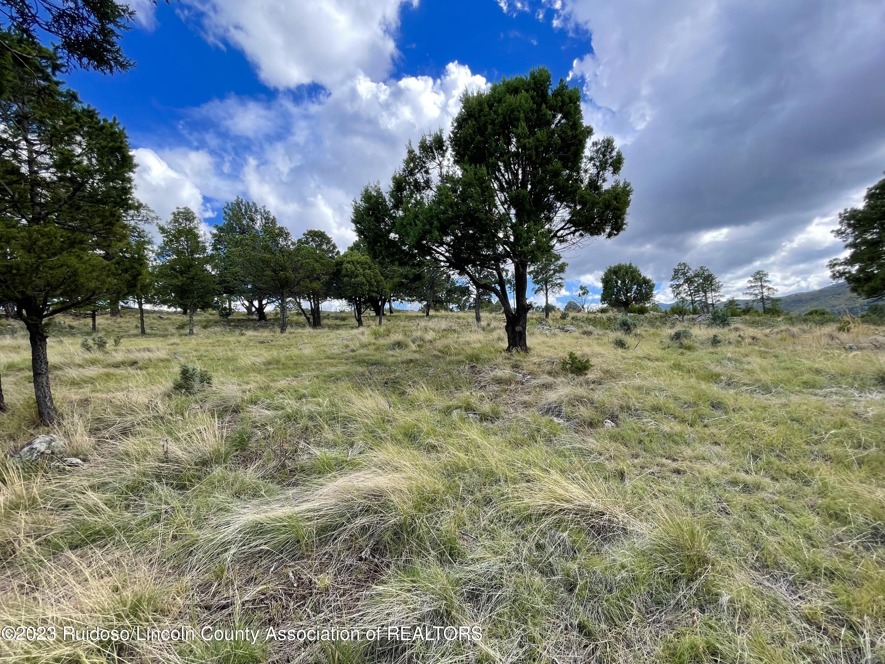 L16 Buggy Lane, Nogal, New Mexico image 3