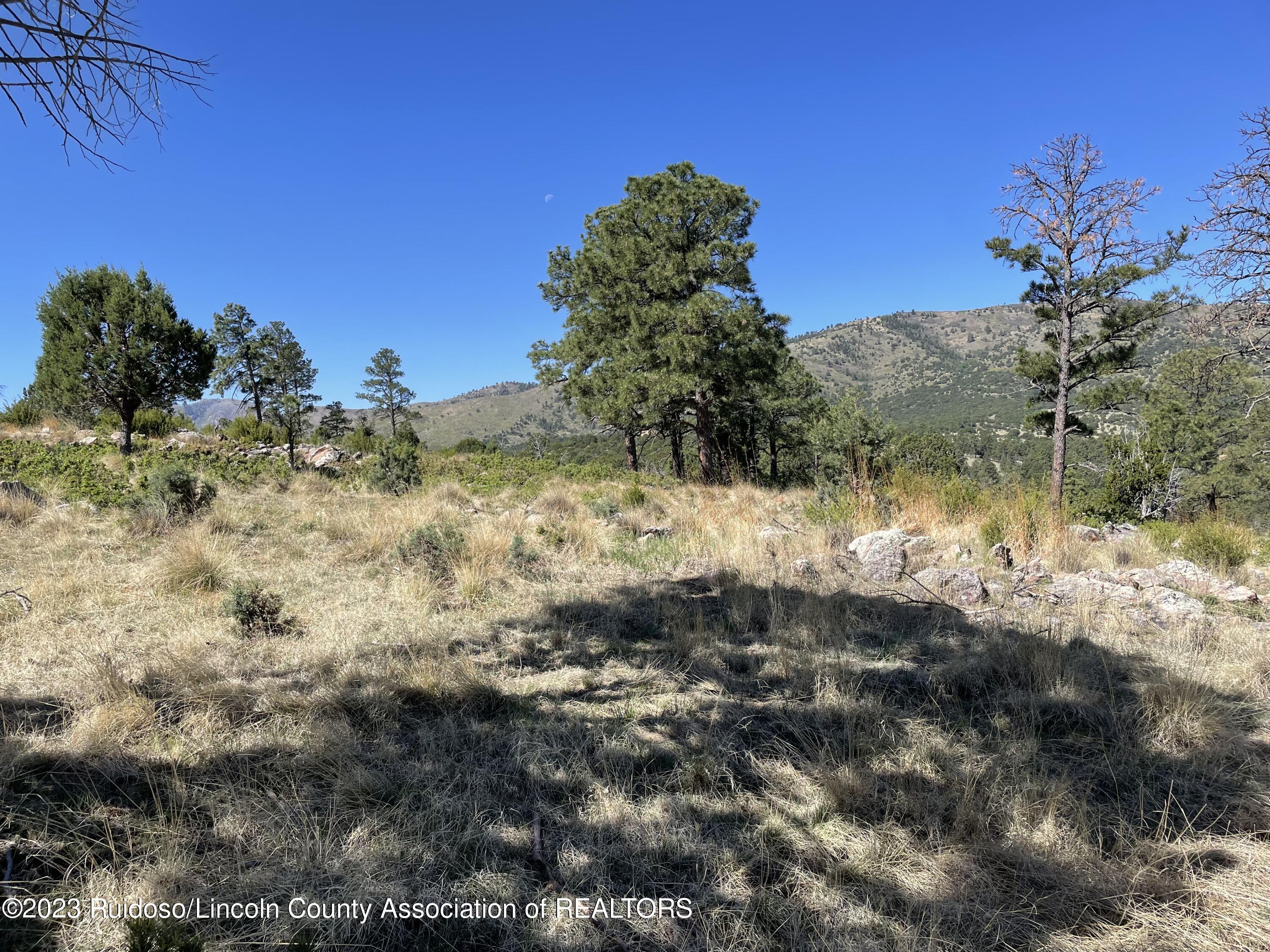 L16 Buggy Lane, Nogal, New Mexico image 7