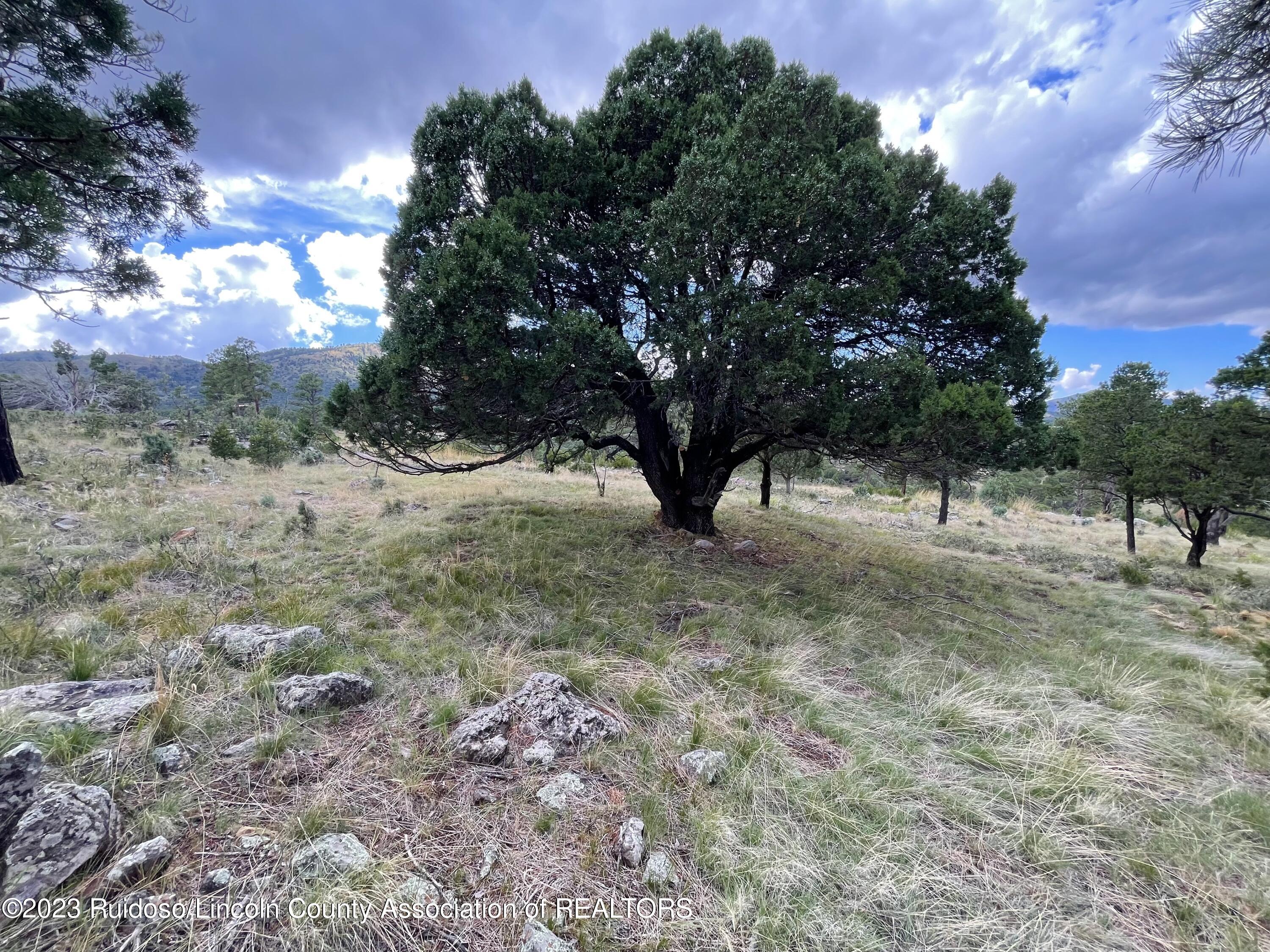 L16 Buggy Lane, Nogal, New Mexico image 20