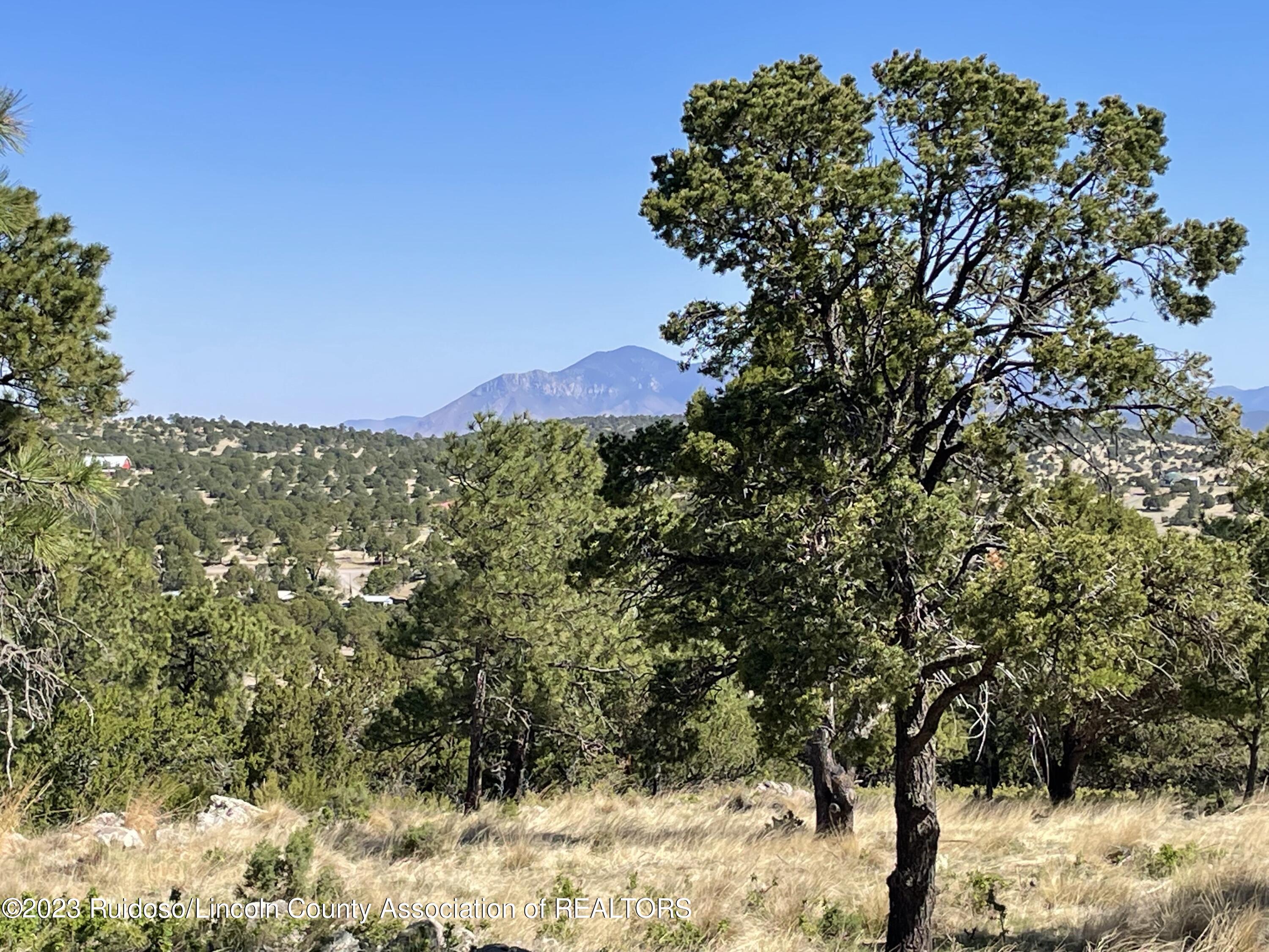 L16 Buggy Lane, Nogal, New Mexico image 9