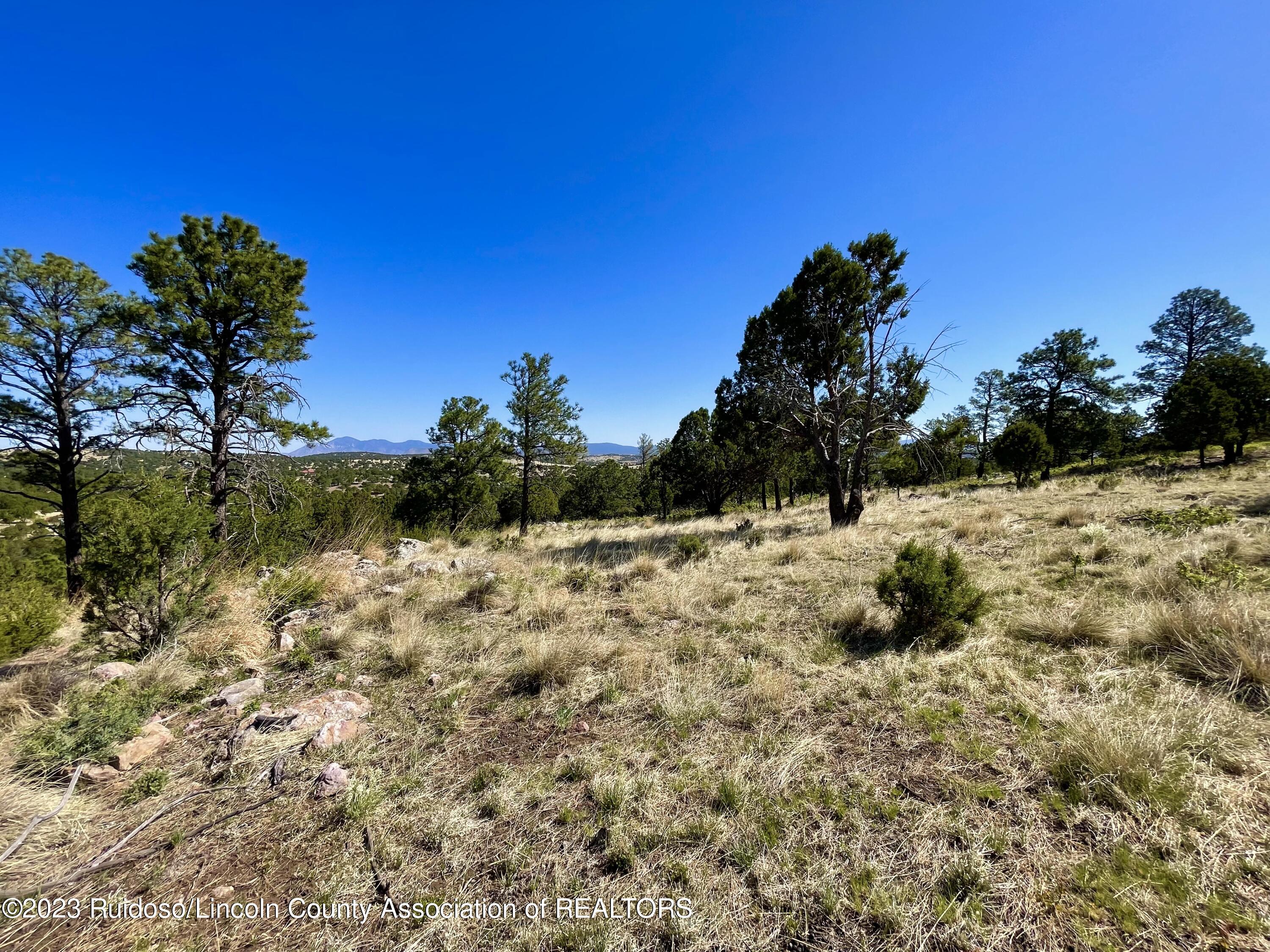 L16 Buggy Lane, Nogal, New Mexico image 10