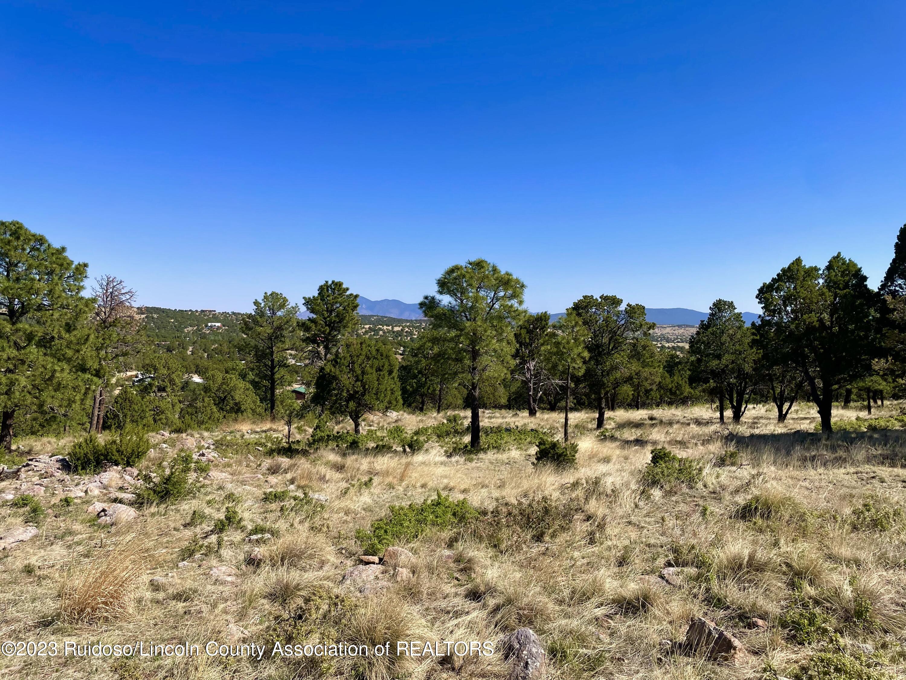 L16 Buggy Lane, Nogal, New Mexico image 12