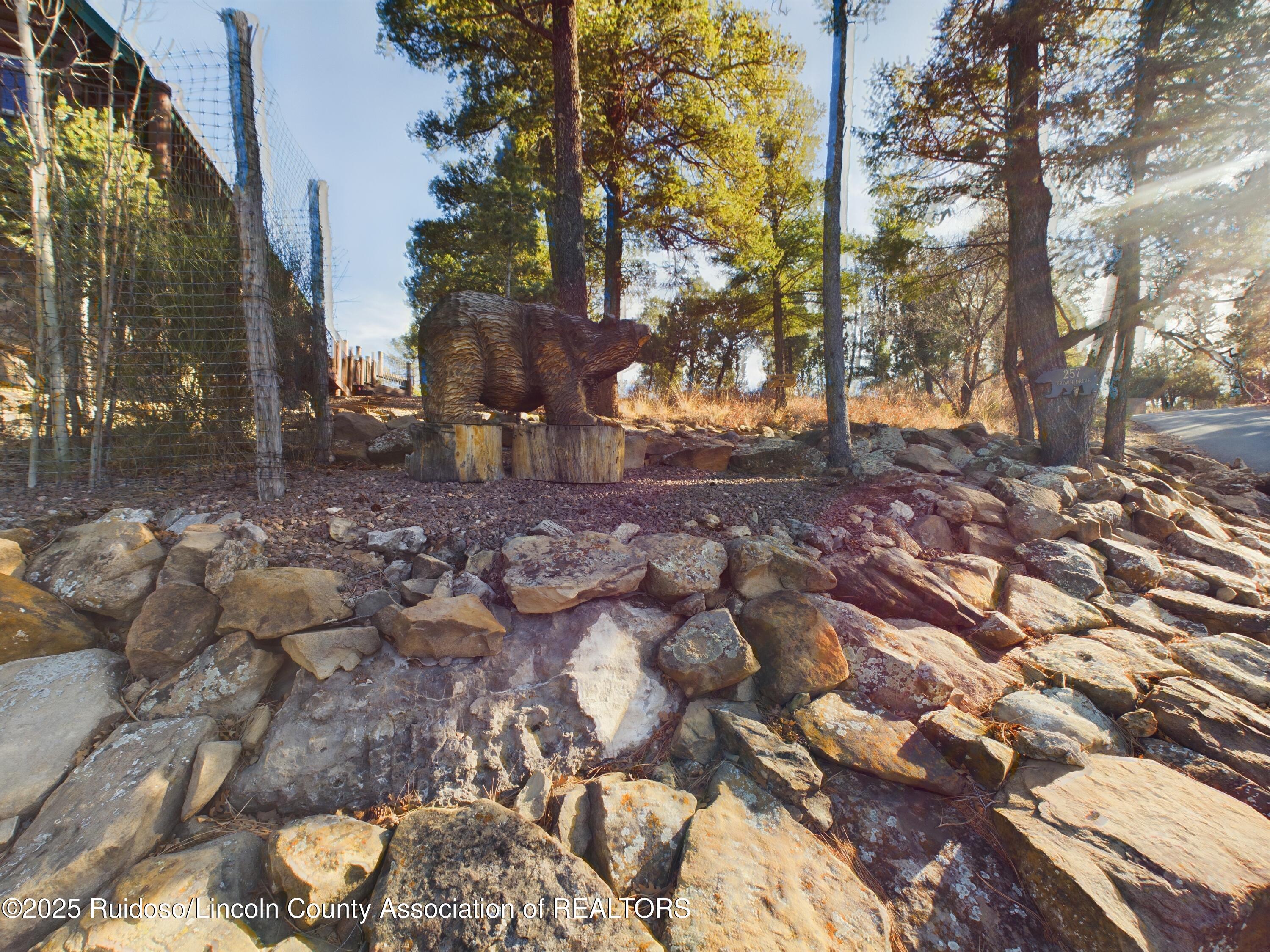 257 Crown Drive, Ruidoso, New Mexico image 45