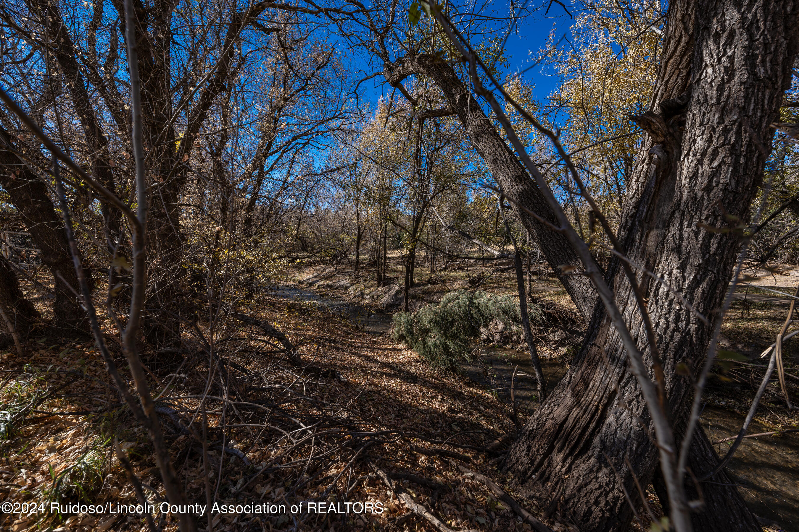 126 River Lane, Ruidoso Downs, New Mexico image 11