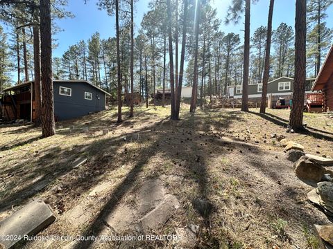 Vacant Land For Sale - 405 Brady Canyon Road<br/> Lincoln County, Ruidoso, NM 88345