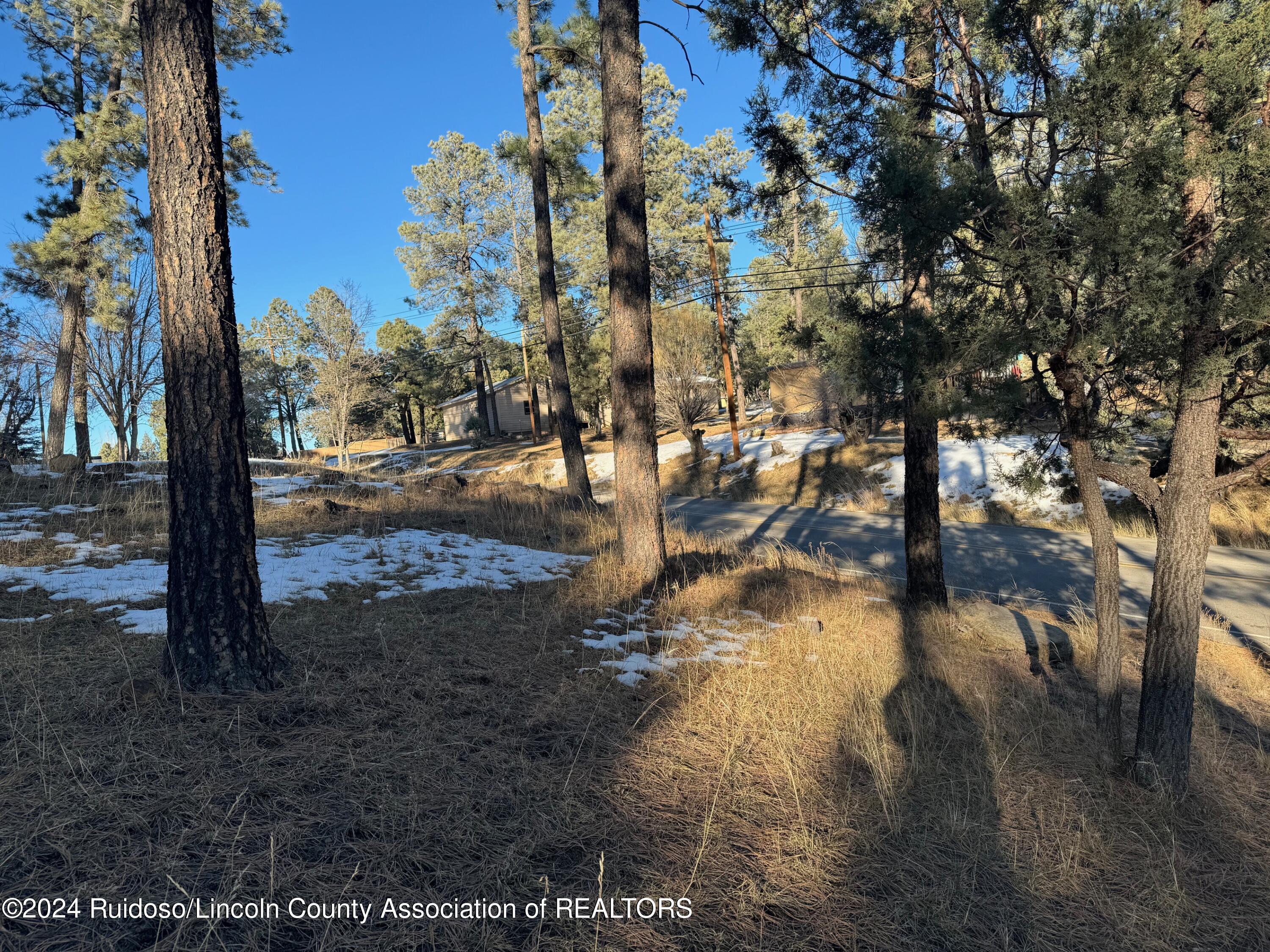 100 W Signal Hill Drive, Ruidoso, New Mexico image 8