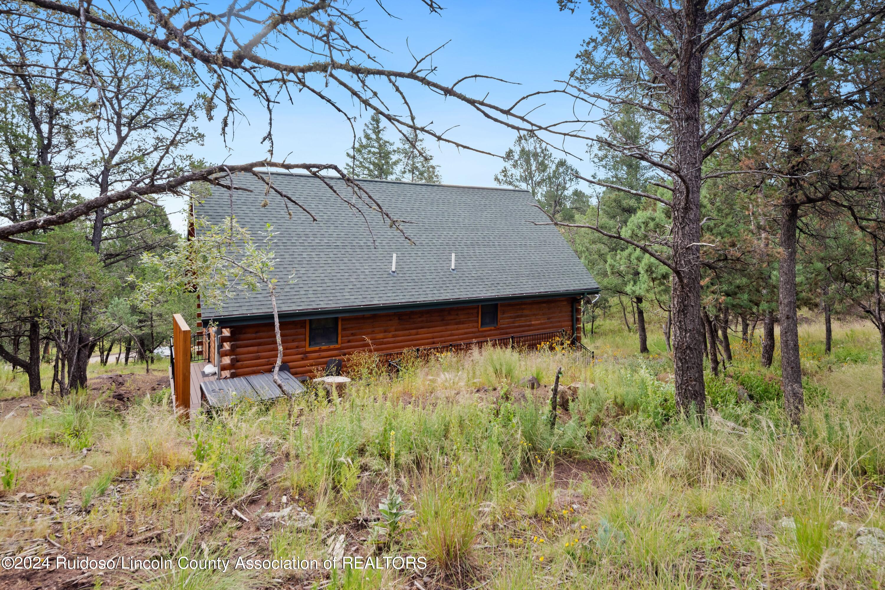 322 Alpine Village Road #II, Ruidoso, New Mexico image 23