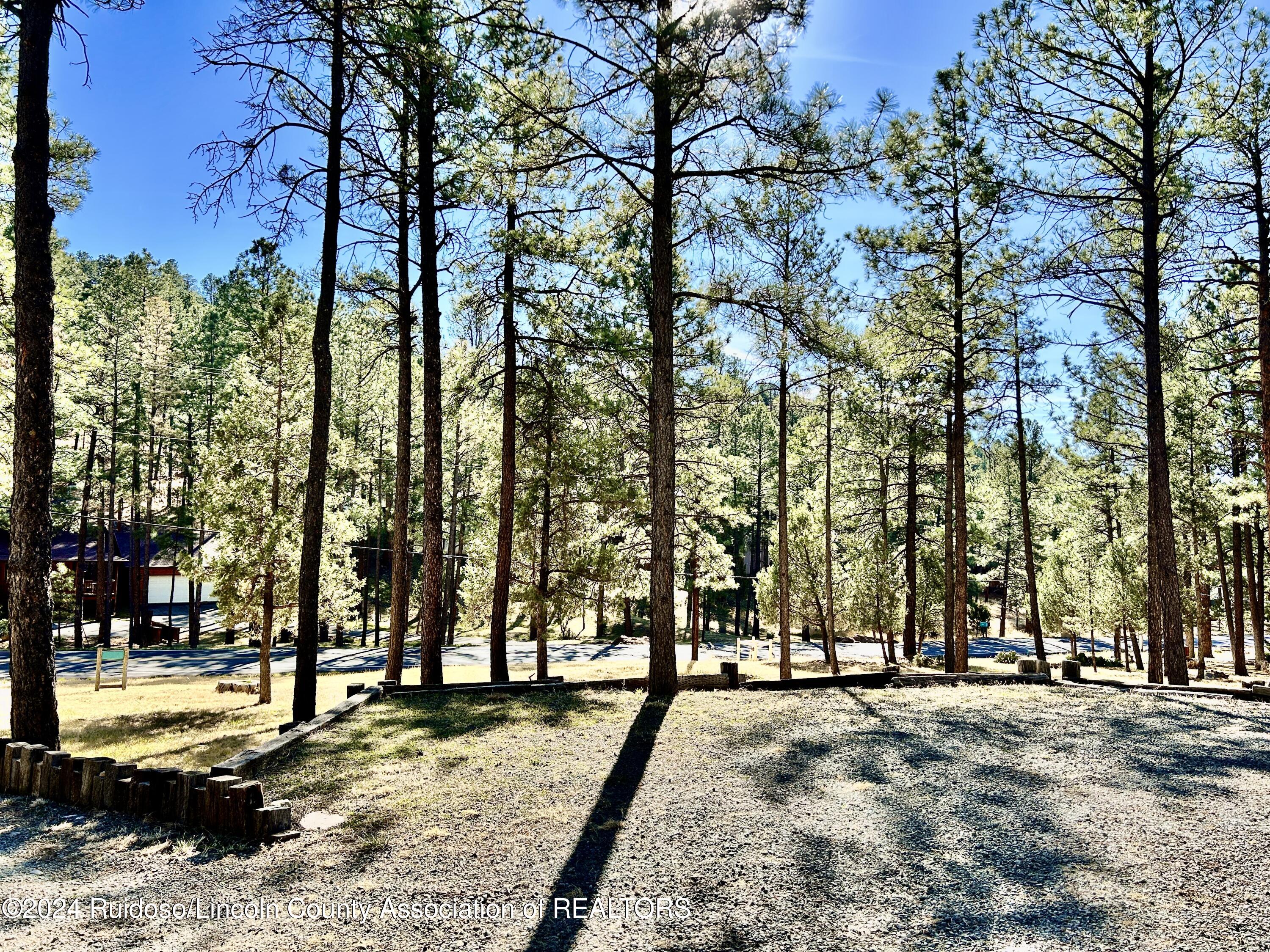 1023 Hull Road, Ruidoso, New Mexico image 47