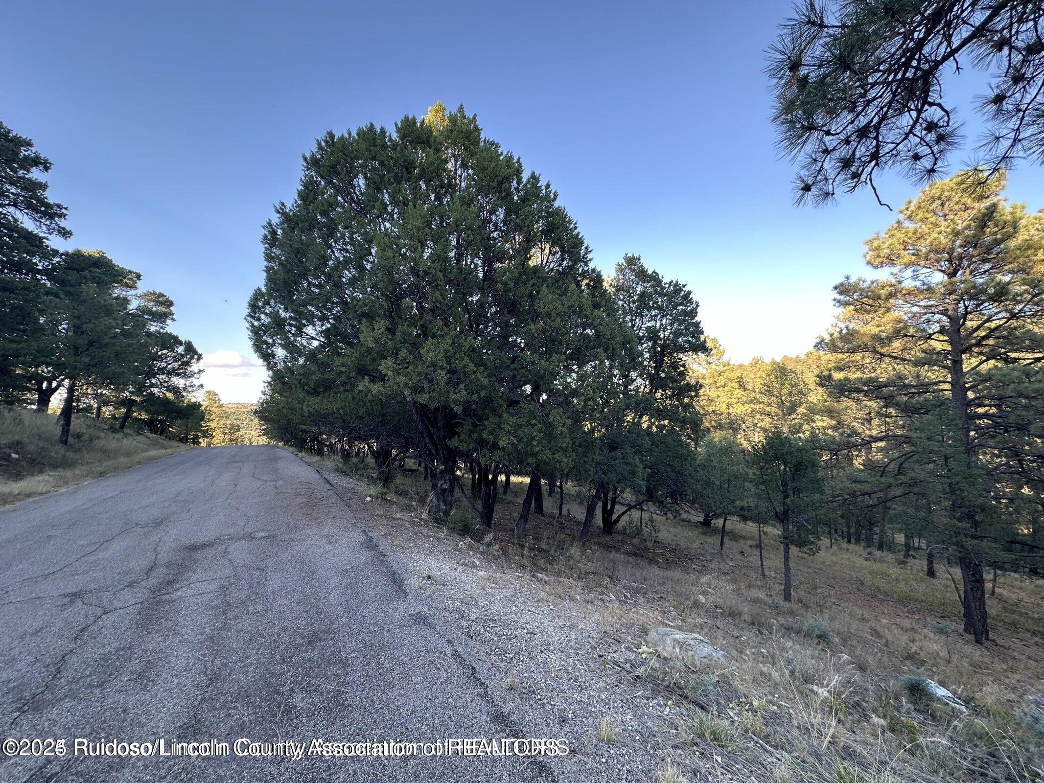 Lot 4 Alto Drive, Alto, New Mexico image 4