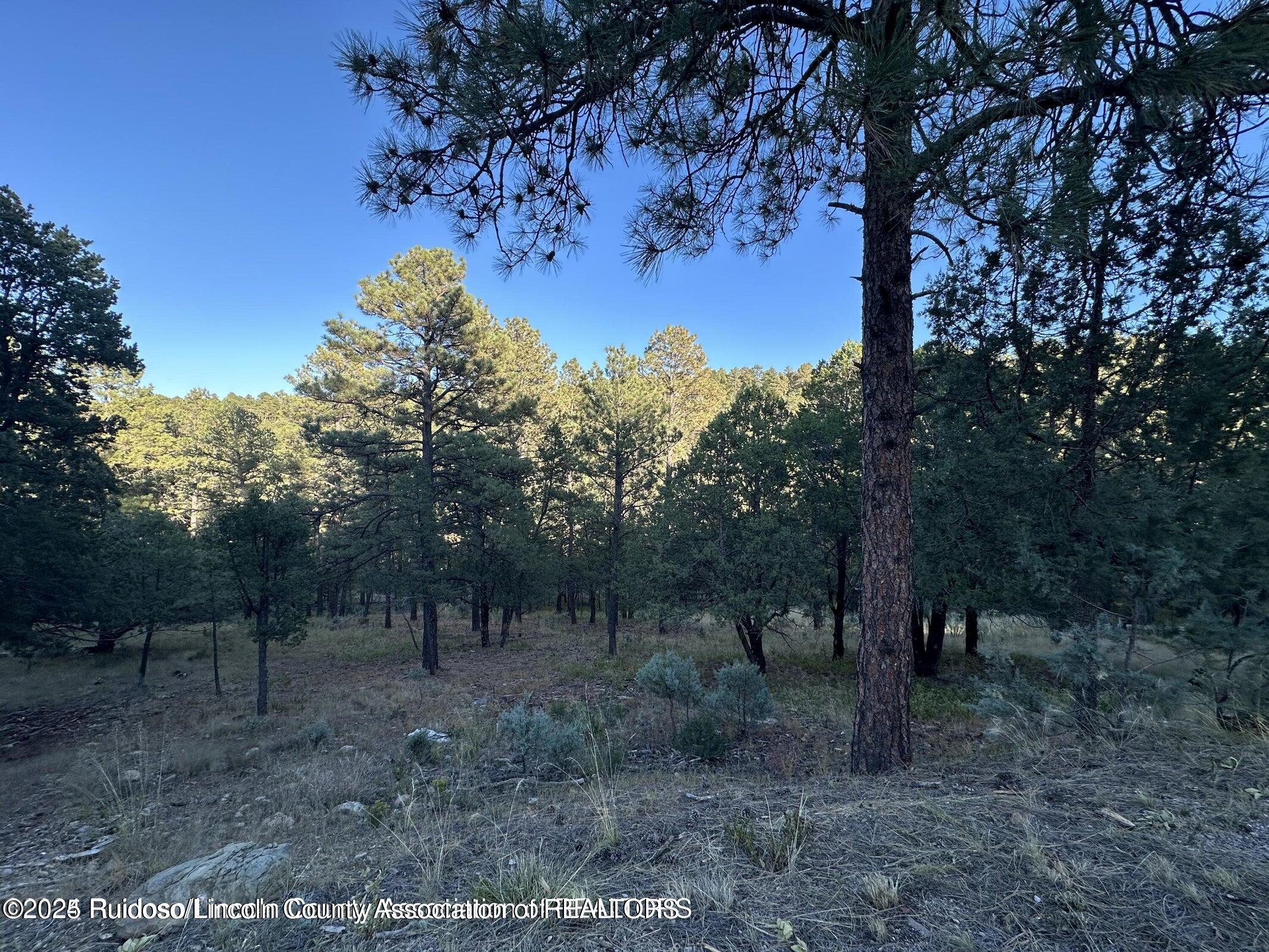 Lot 4 Alto Drive, Alto, New Mexico image 9