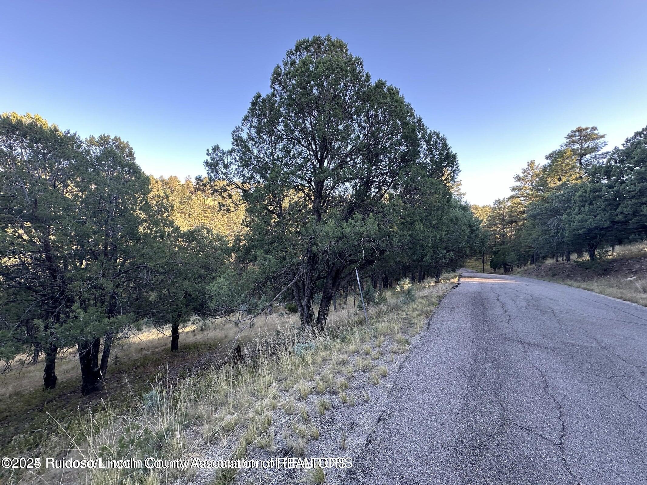 Lot 4 Alto Drive, Alto, New Mexico image 1