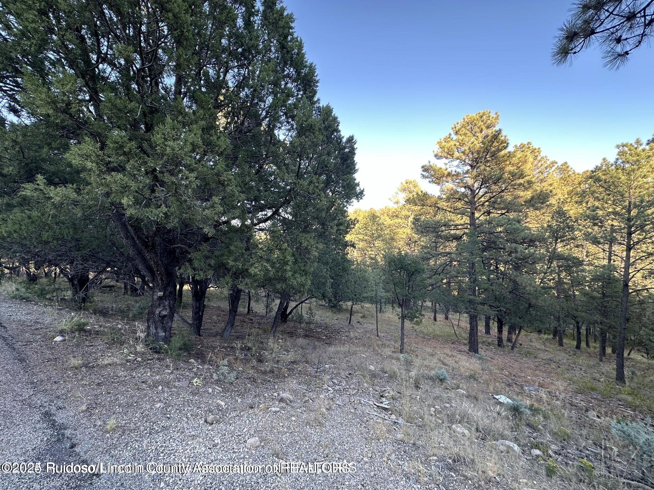 Lot 4 Alto Drive, Alto, New Mexico image 8