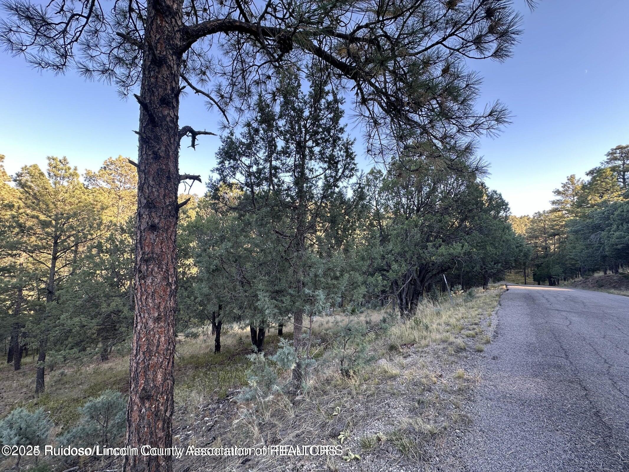 Lot 4 Alto Drive, Alto, New Mexico image 3