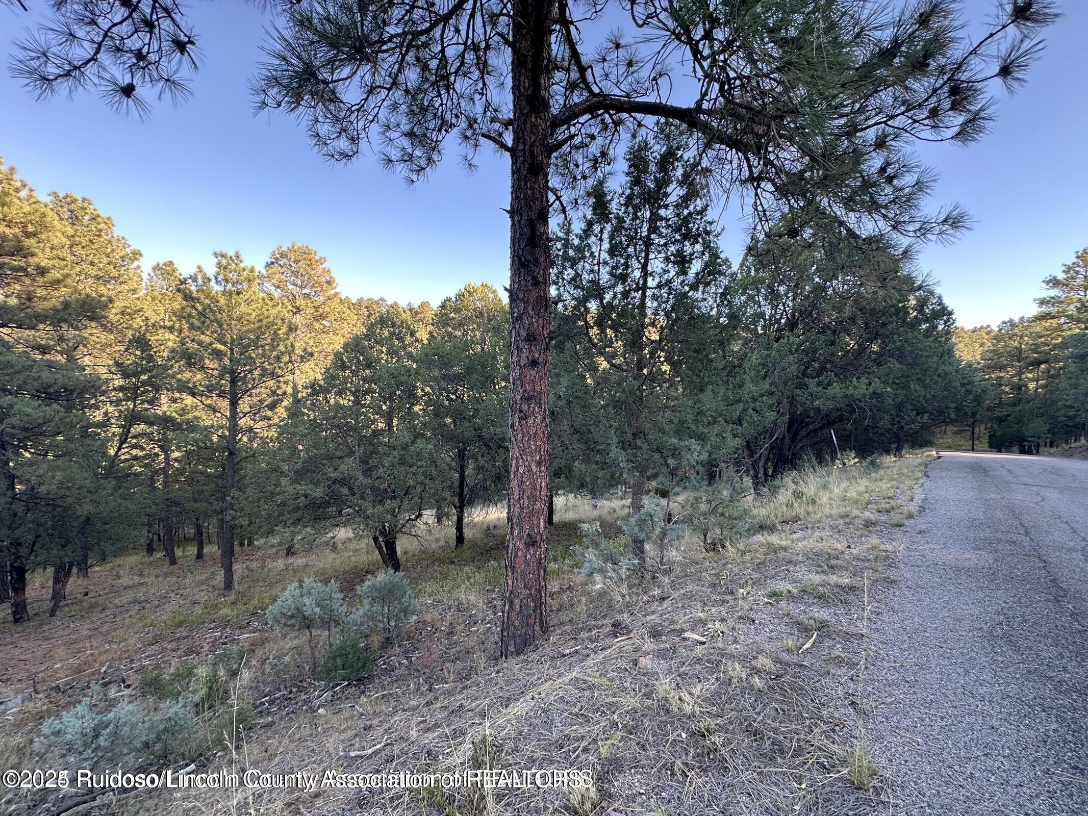 Lot 4 Alto Drive, Alto, New Mexico image 7