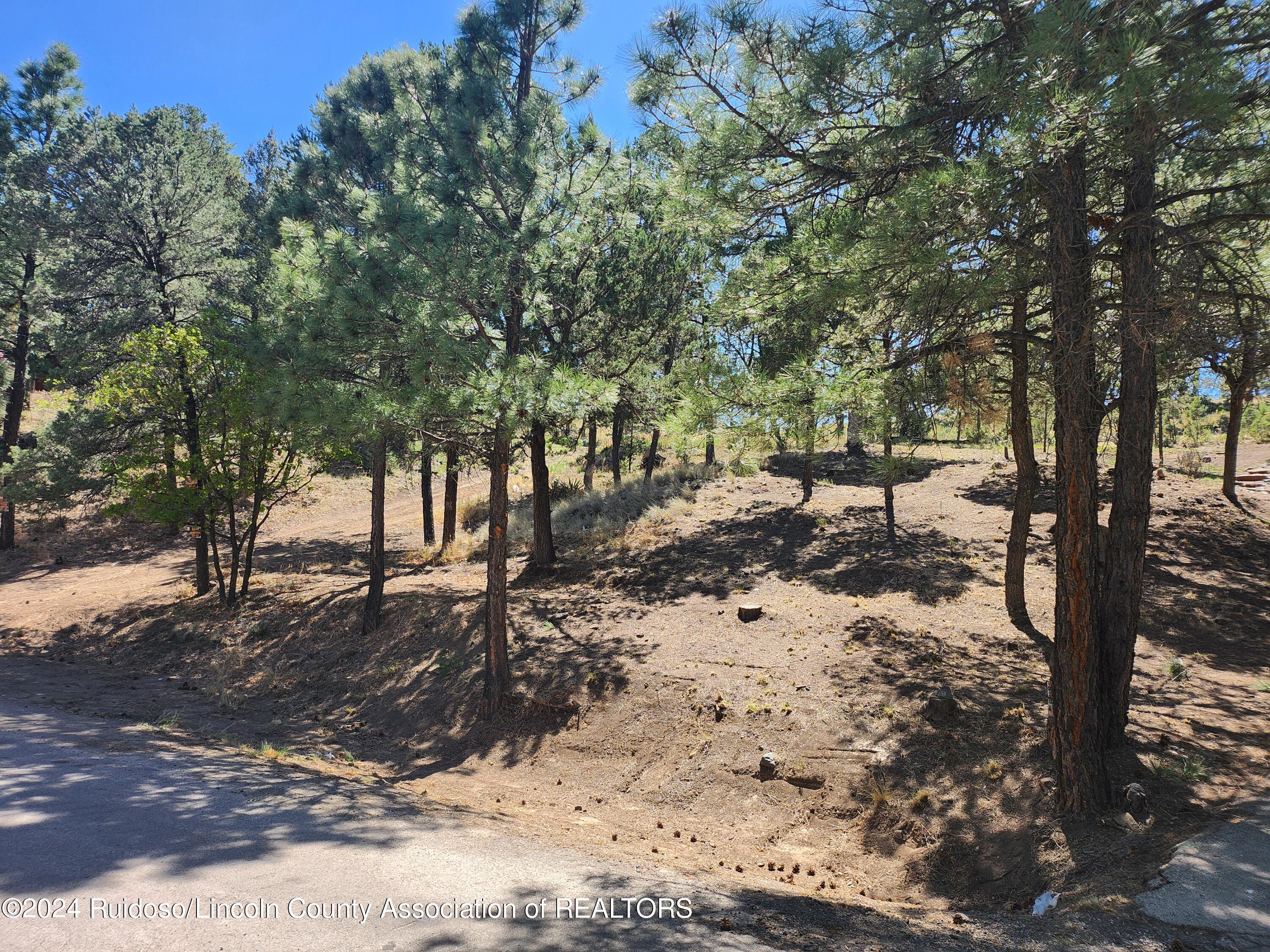 104 Catron Road, Ruidoso, New Mexico image 2