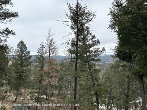 Vacant Land For Sale - 206 Mountain High Circle<br/> Lincoln County, Ruidoso, NM 88345
