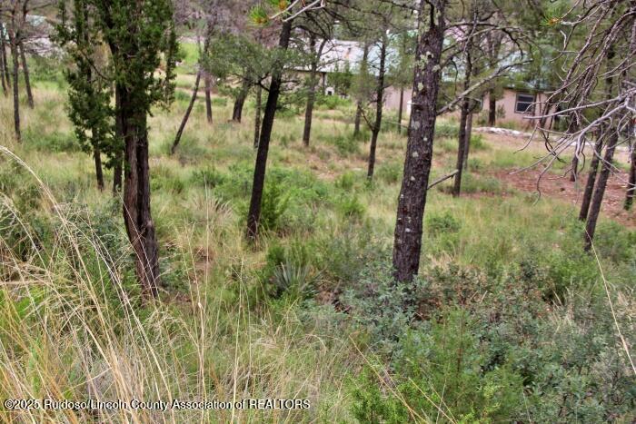 Ruidoso, New Mexico 88345, United States, ,Land,Active,189148