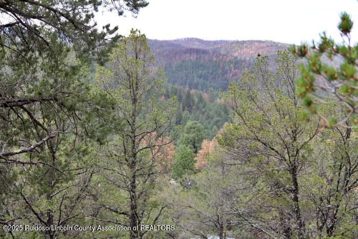 Ruidoso, New Mexico 88345, United States, ,Land,Active,189148