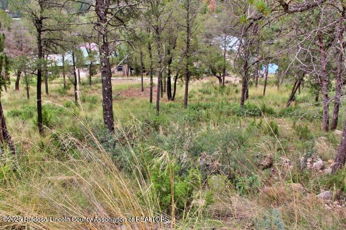 Ruidoso, New Mexico 88345, United States, ,Land,Active,189148