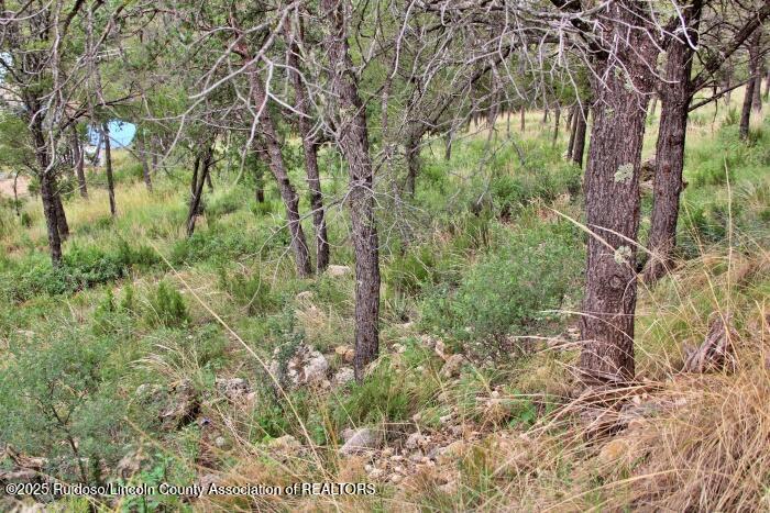 Ruidoso, New Mexico 88345, United States, ,Land,Active,189148