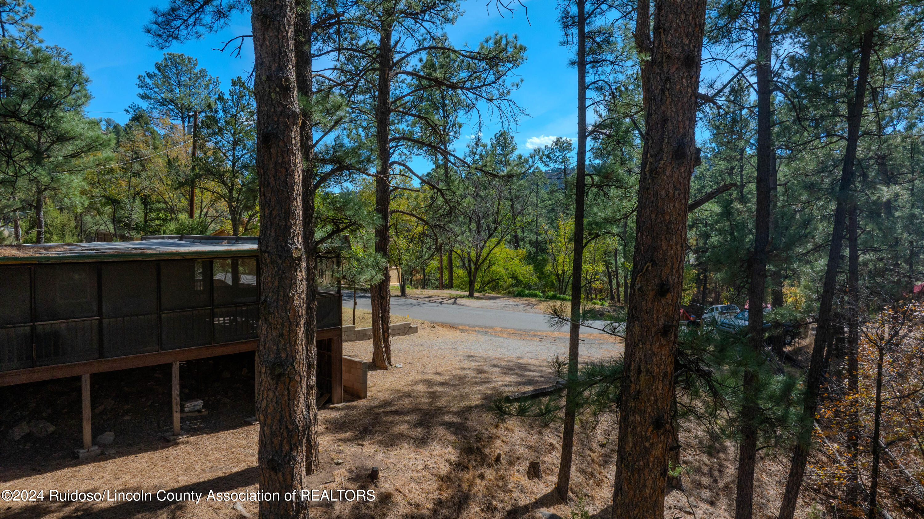 225 Country Club Drive, Ruidoso, New Mexico image 28