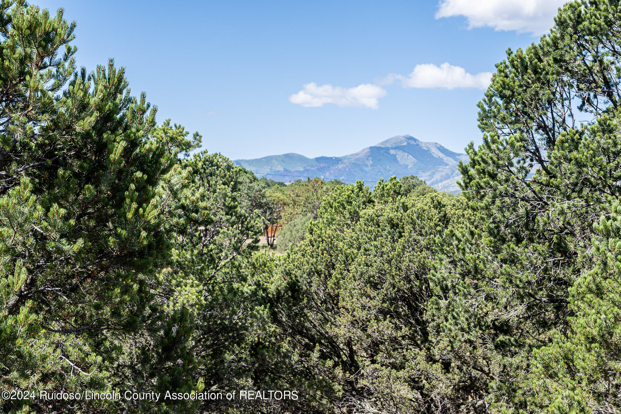 118 Altamira Drive, Alto, New Mexico image 40