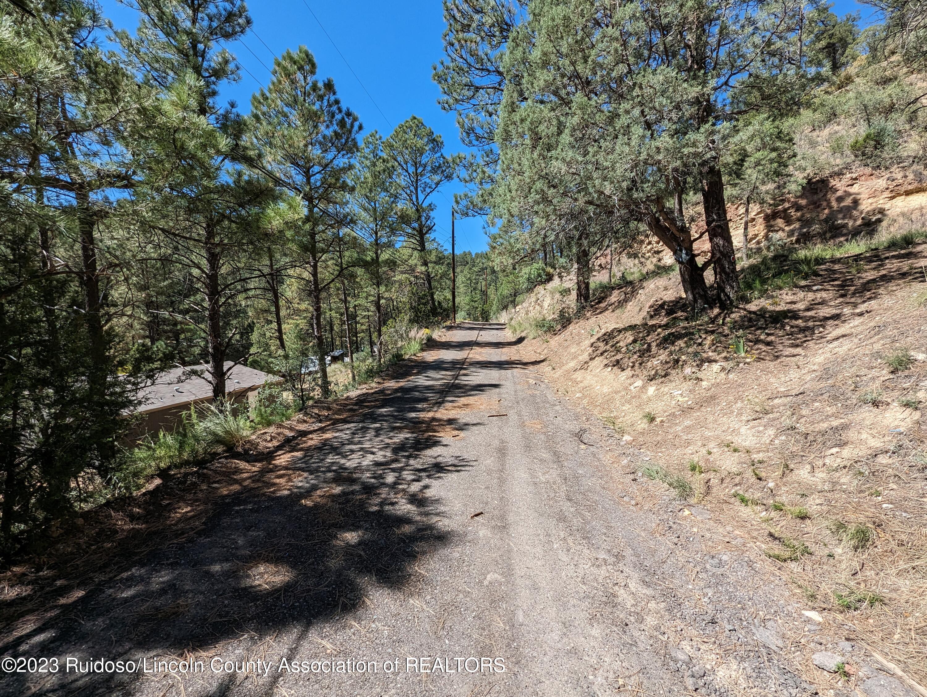 124 Lois Circle, Ruidoso, New Mexico image 4