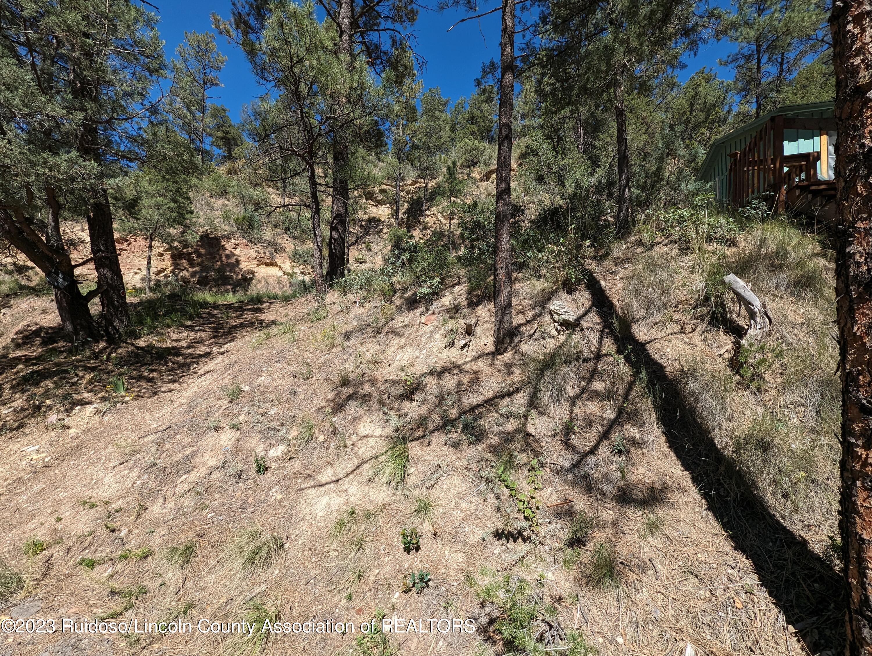 124 Lois Circle, Ruidoso, New Mexico image 2