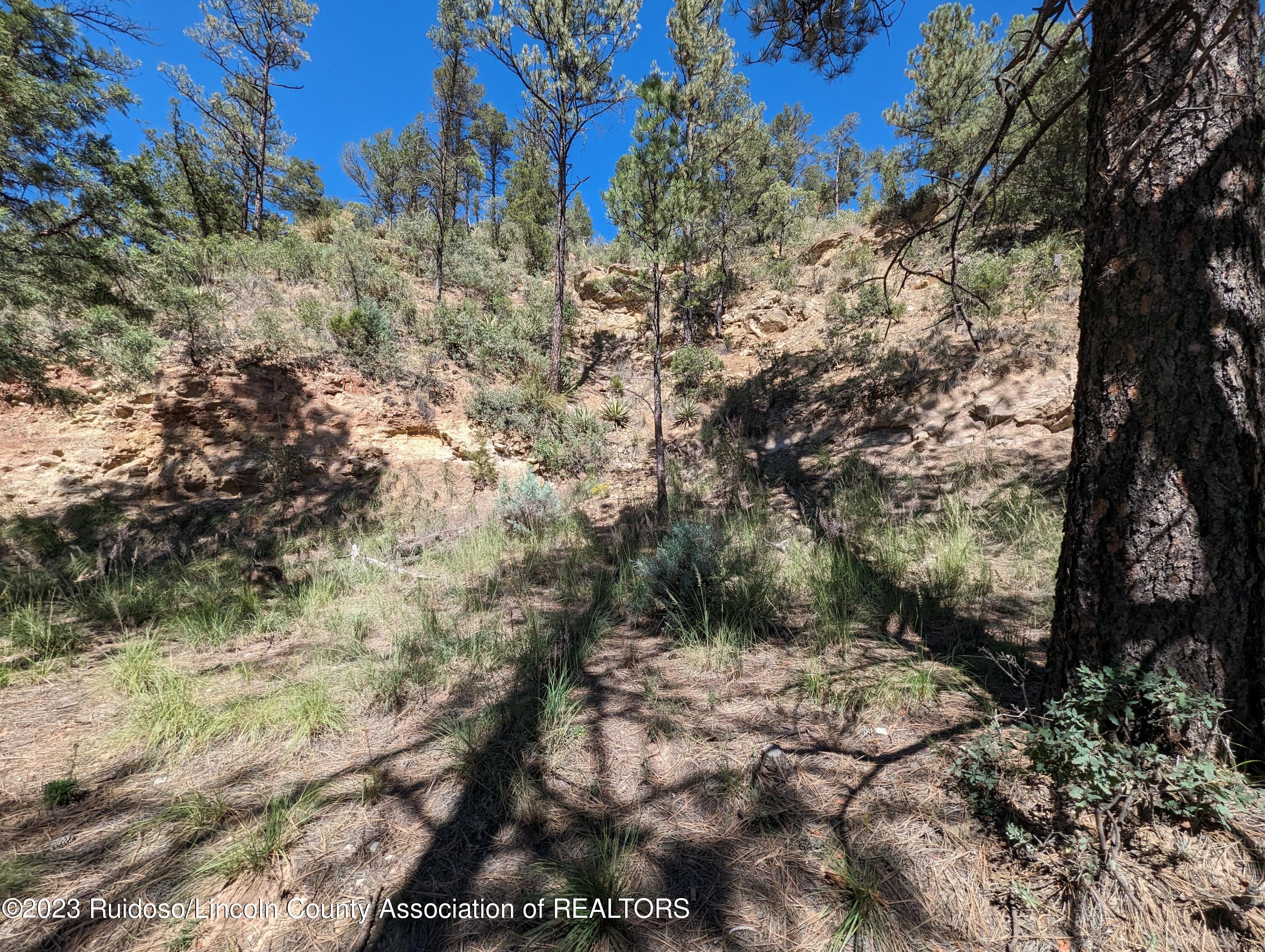 124 Lois Circle, Ruidoso, New Mexico image 14