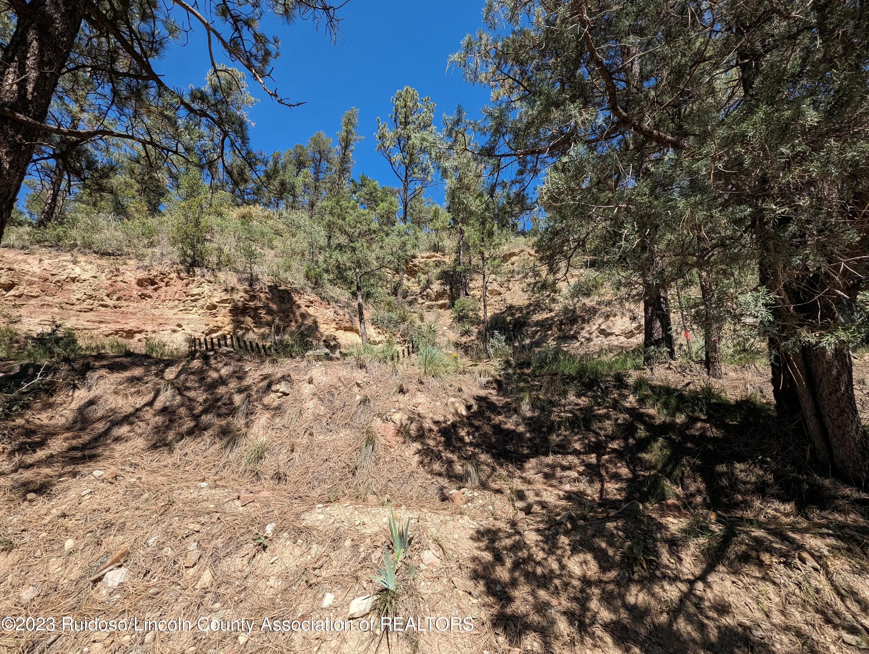 124 Lois Circle, Ruidoso, New Mexico image 6