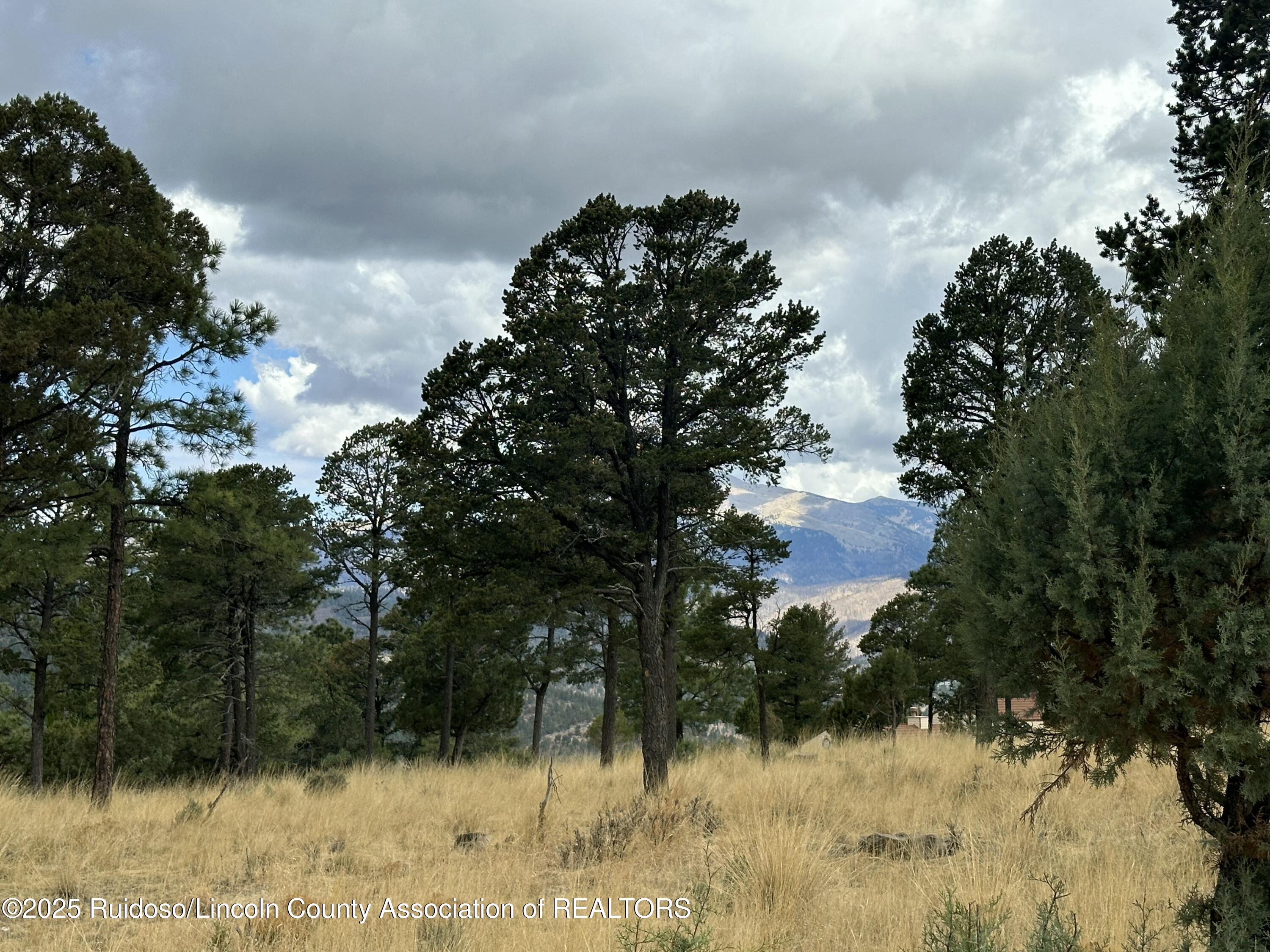 104 Avalon Court, Ruidoso, New Mexico image 7