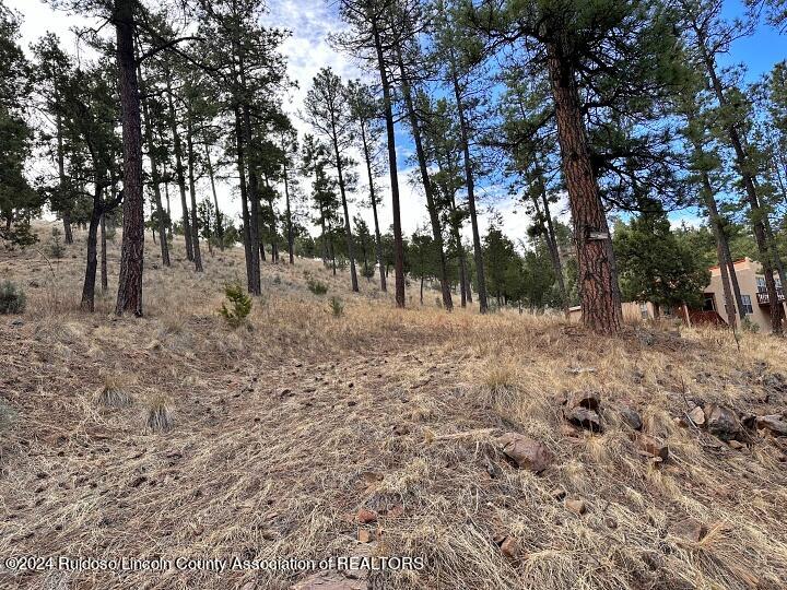 Ruidoso, New Mexico 88345, United States, ,Land,Pending,63624
