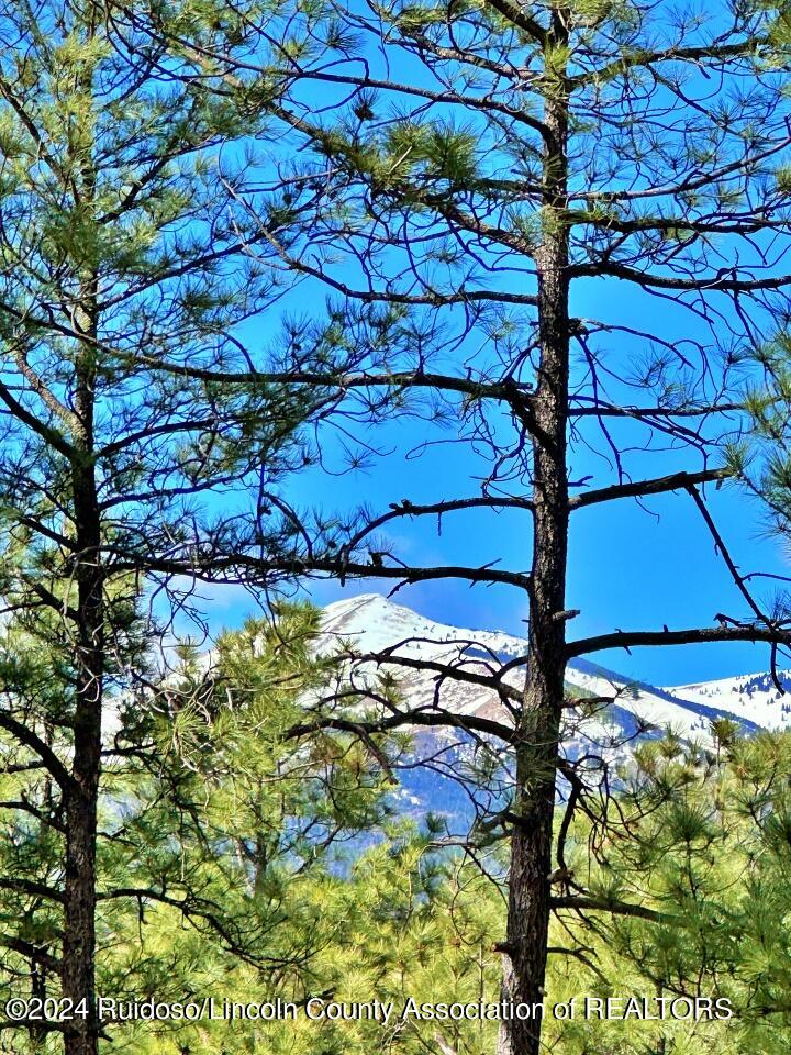 Ruidoso, New Mexico 88345, United States, ,Land,Pending,63624
