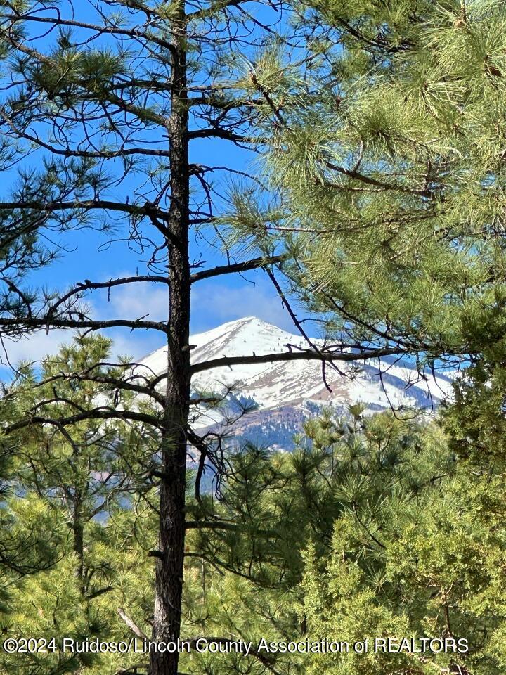 Ruidoso, New Mexico 88345, United States, ,Land,Pending,63624