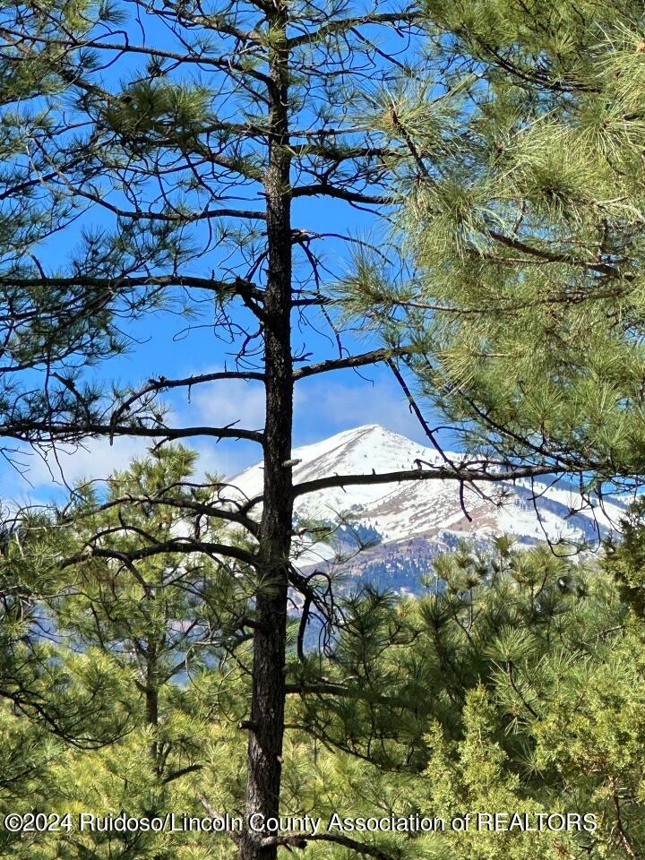 Ruidoso, New Mexico 88345, United States, ,Land,Pending,63624