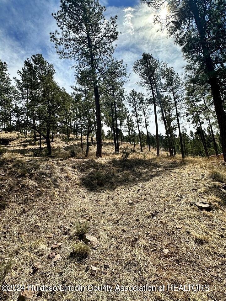 Ruidoso, New Mexico 88345, United States, ,Land,Pending,63624
