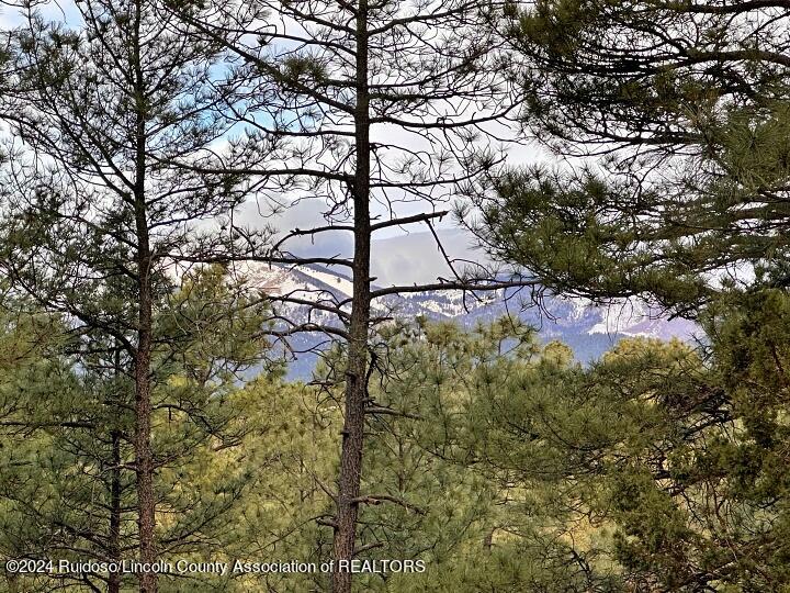 Ruidoso, New Mexico 88345, United States, ,Land,Pending,63624