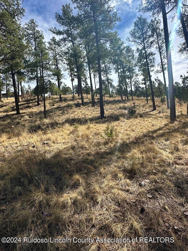 Ruidoso, New Mexico 88345, United States, ,Land,Pending,63624