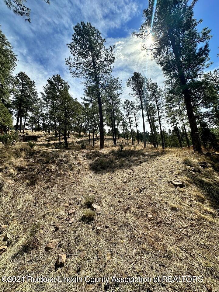 Ruidoso, New Mexico 88345, United States, ,Land,Pending,63624